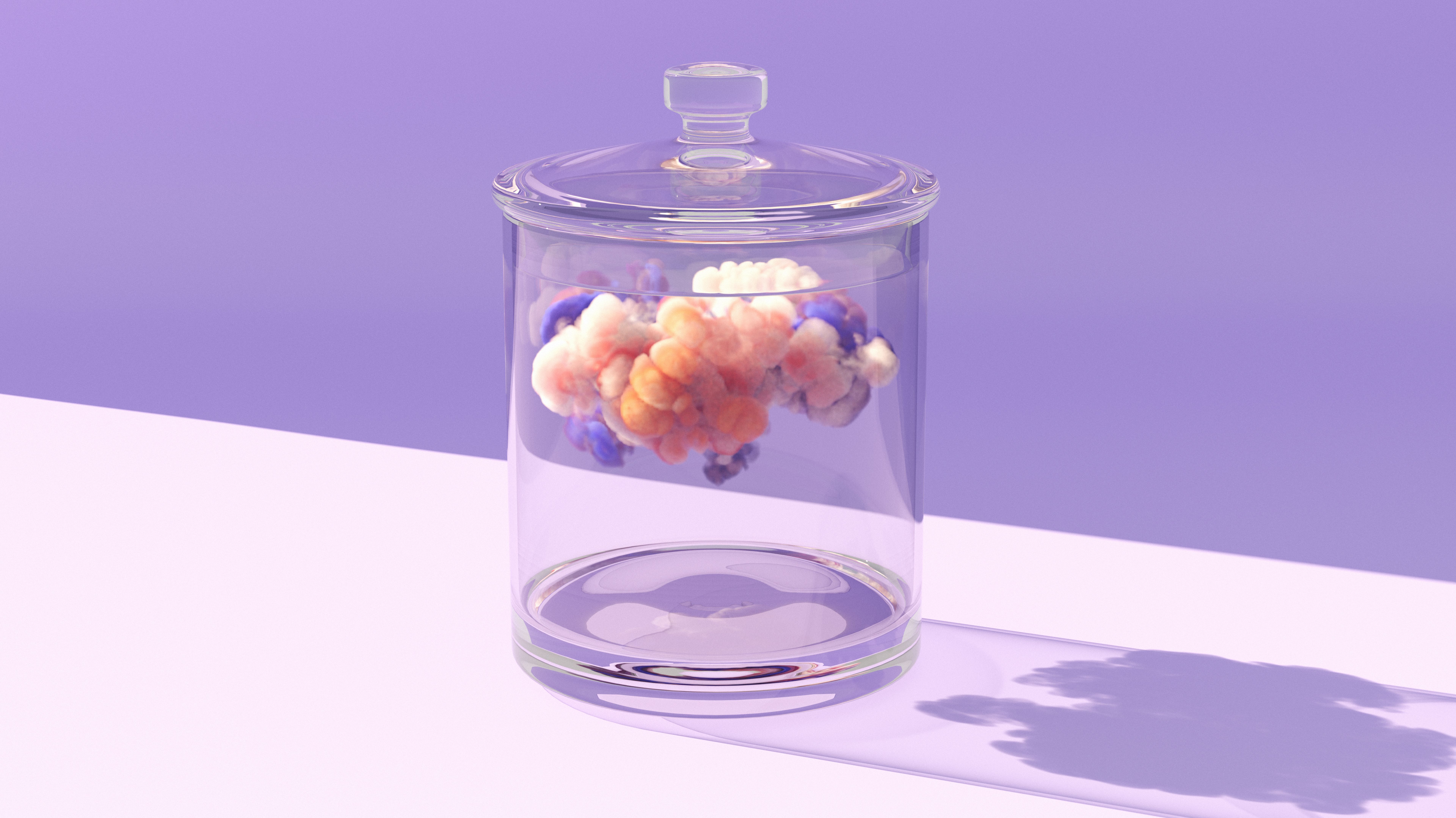 social media algorithm