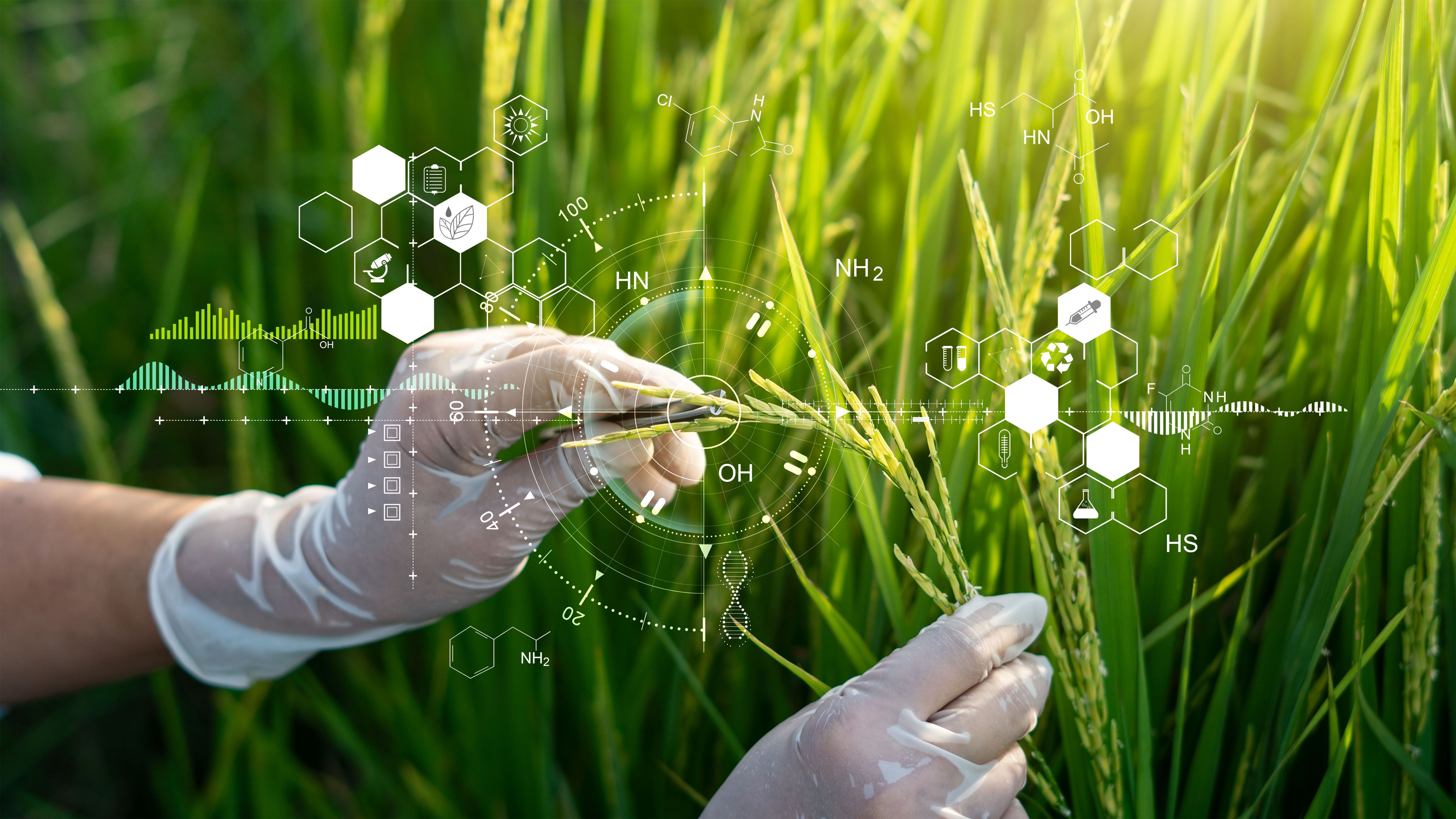 biotechnology in farming