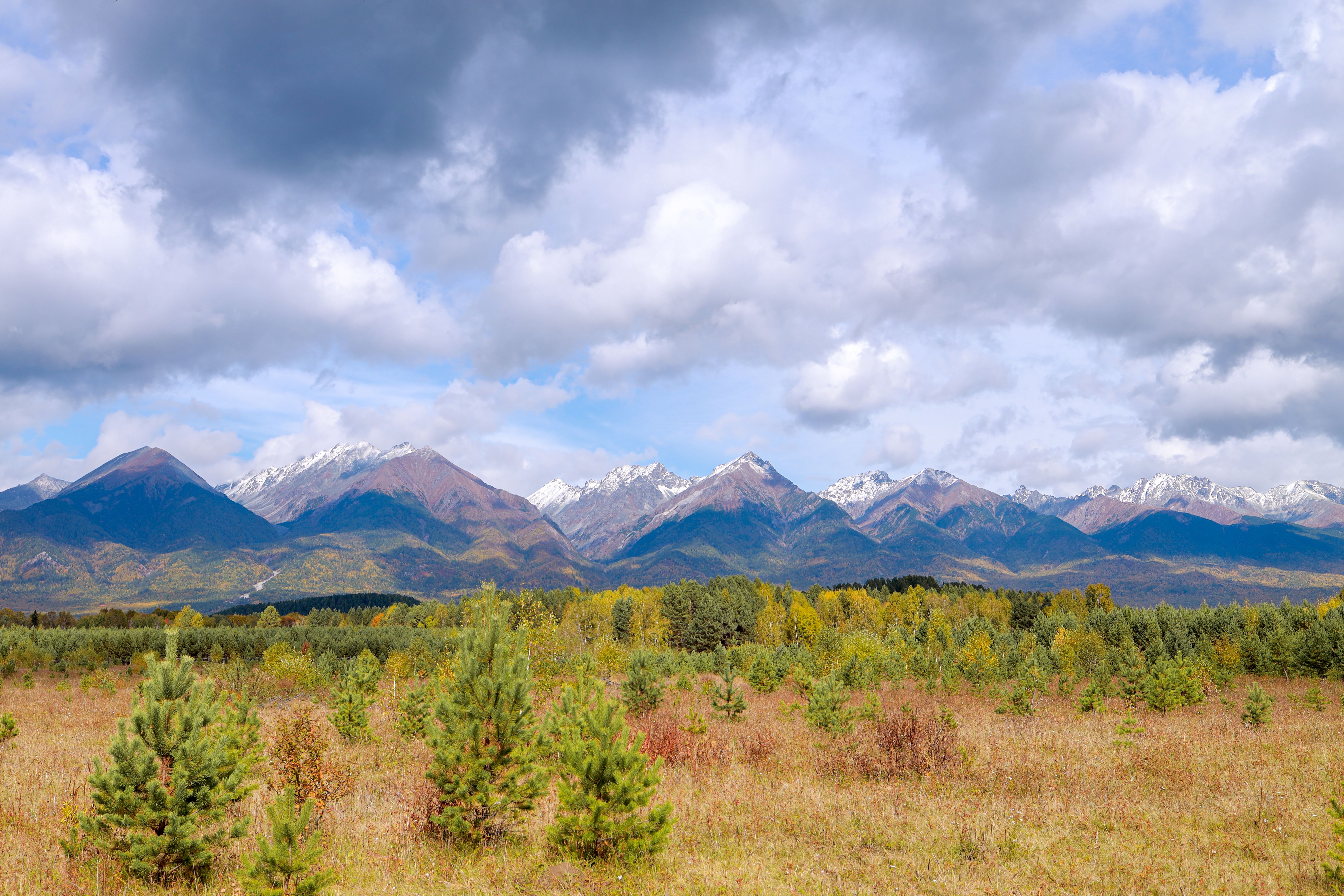 santa clara landscape