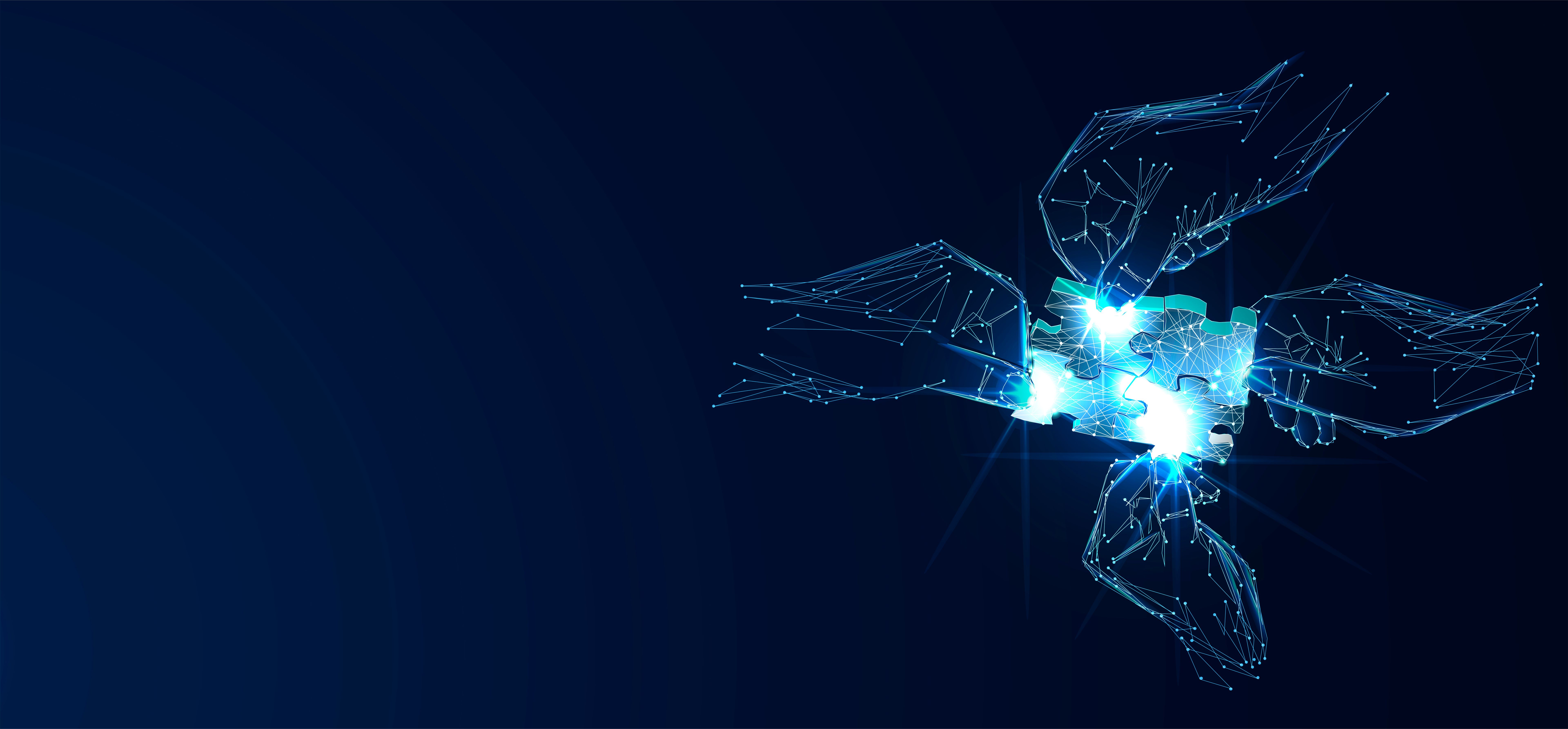 network segmentation