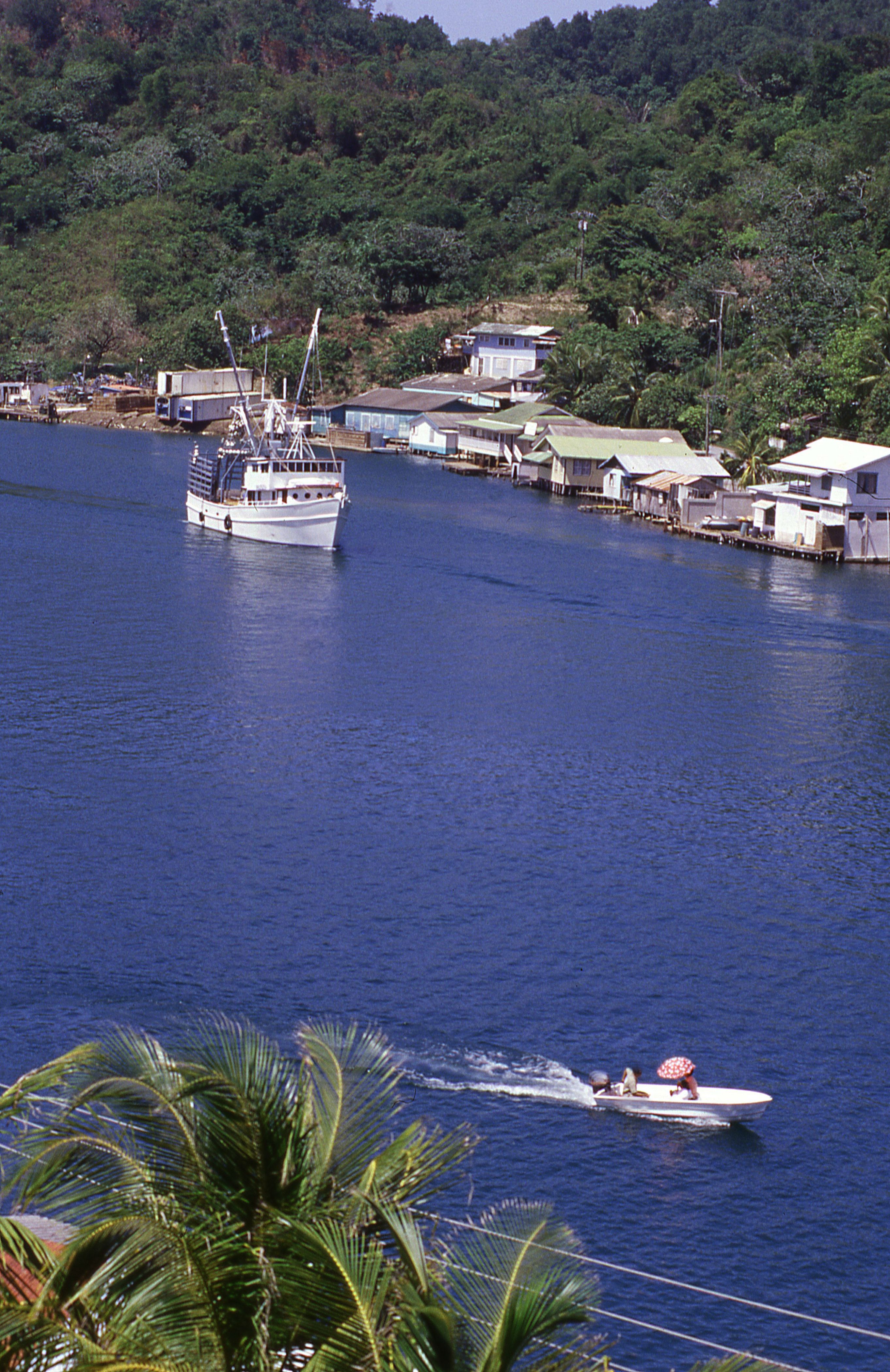 Jonesville landscape