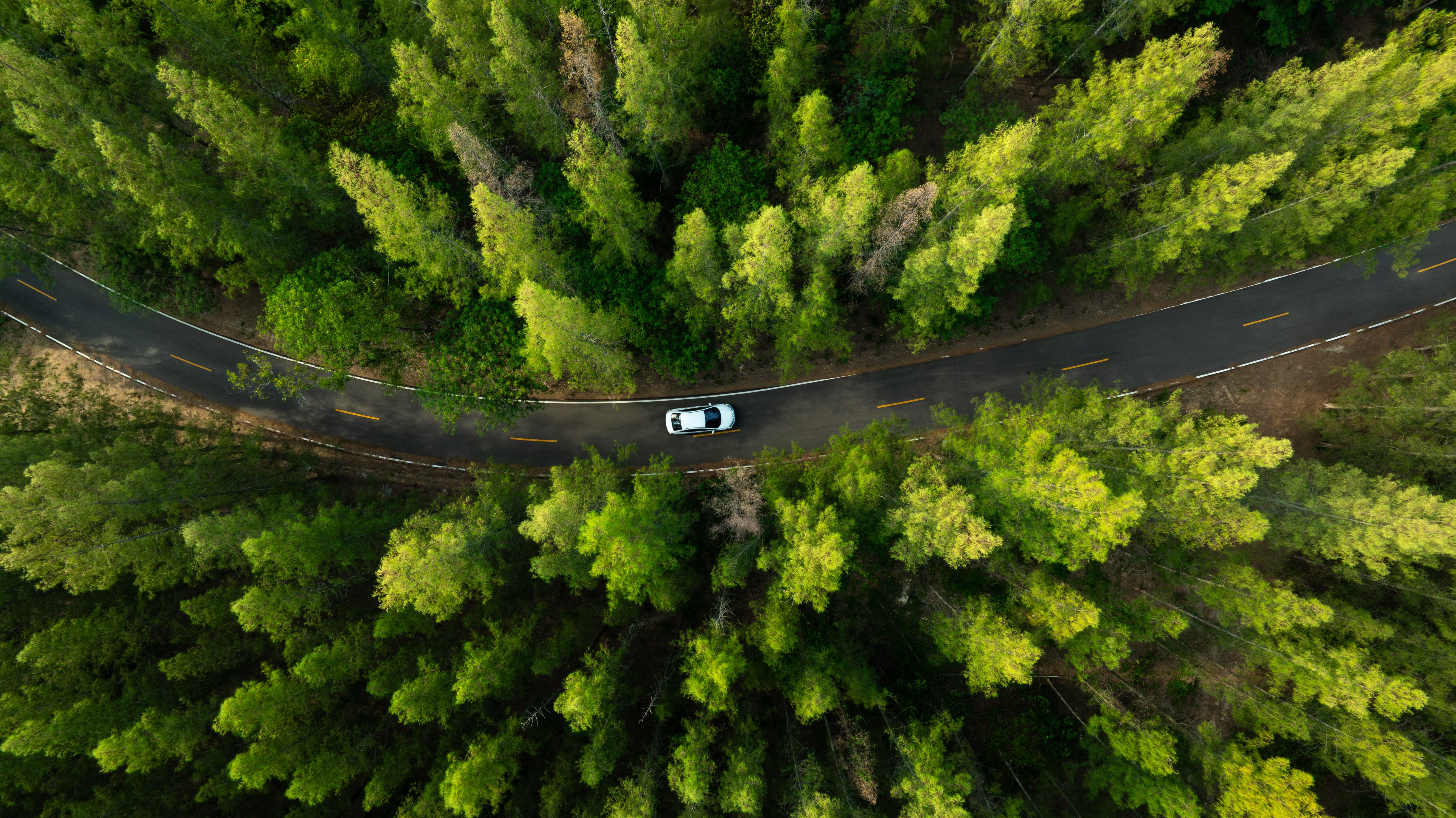 eco friendly car