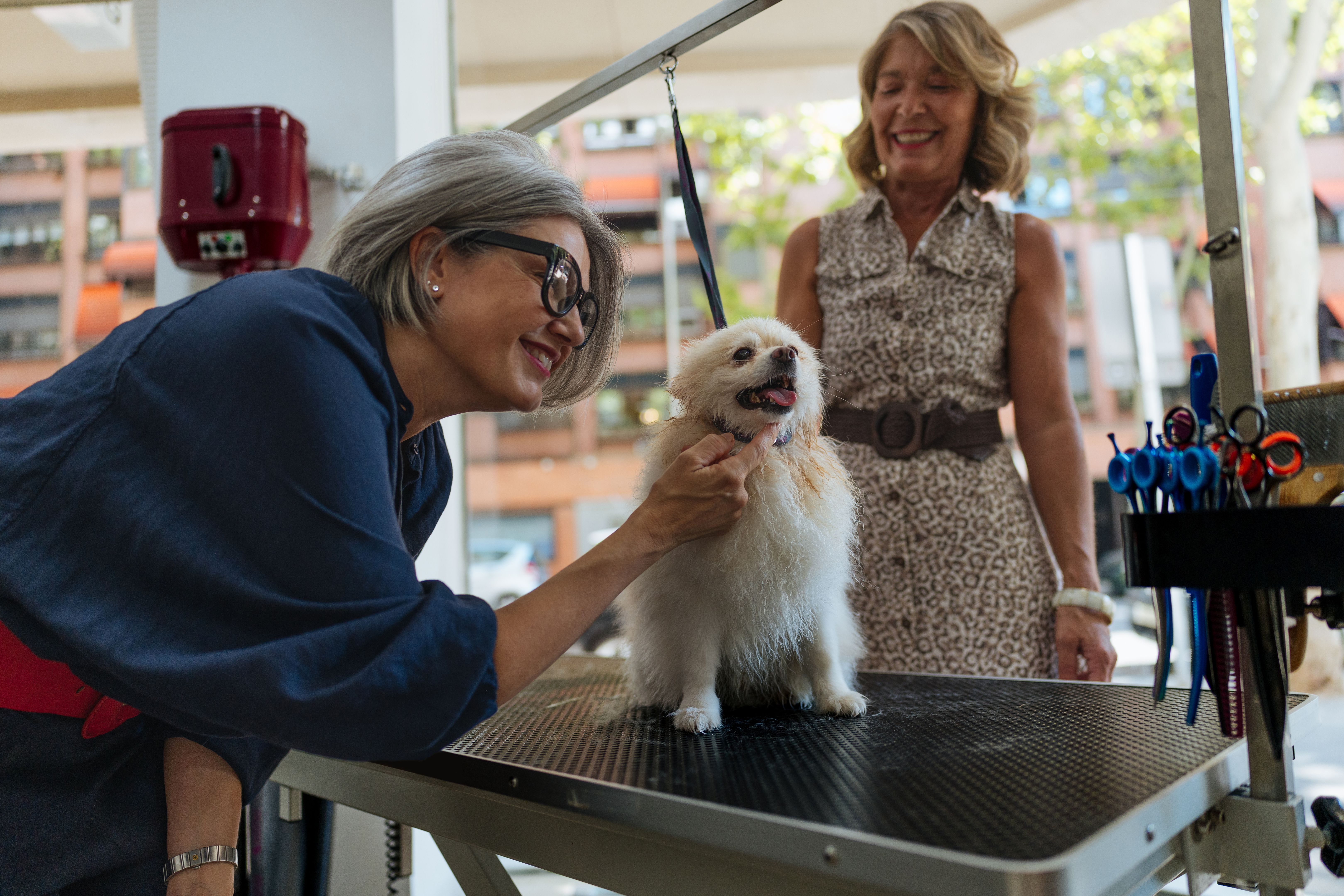 pet grooming benefits