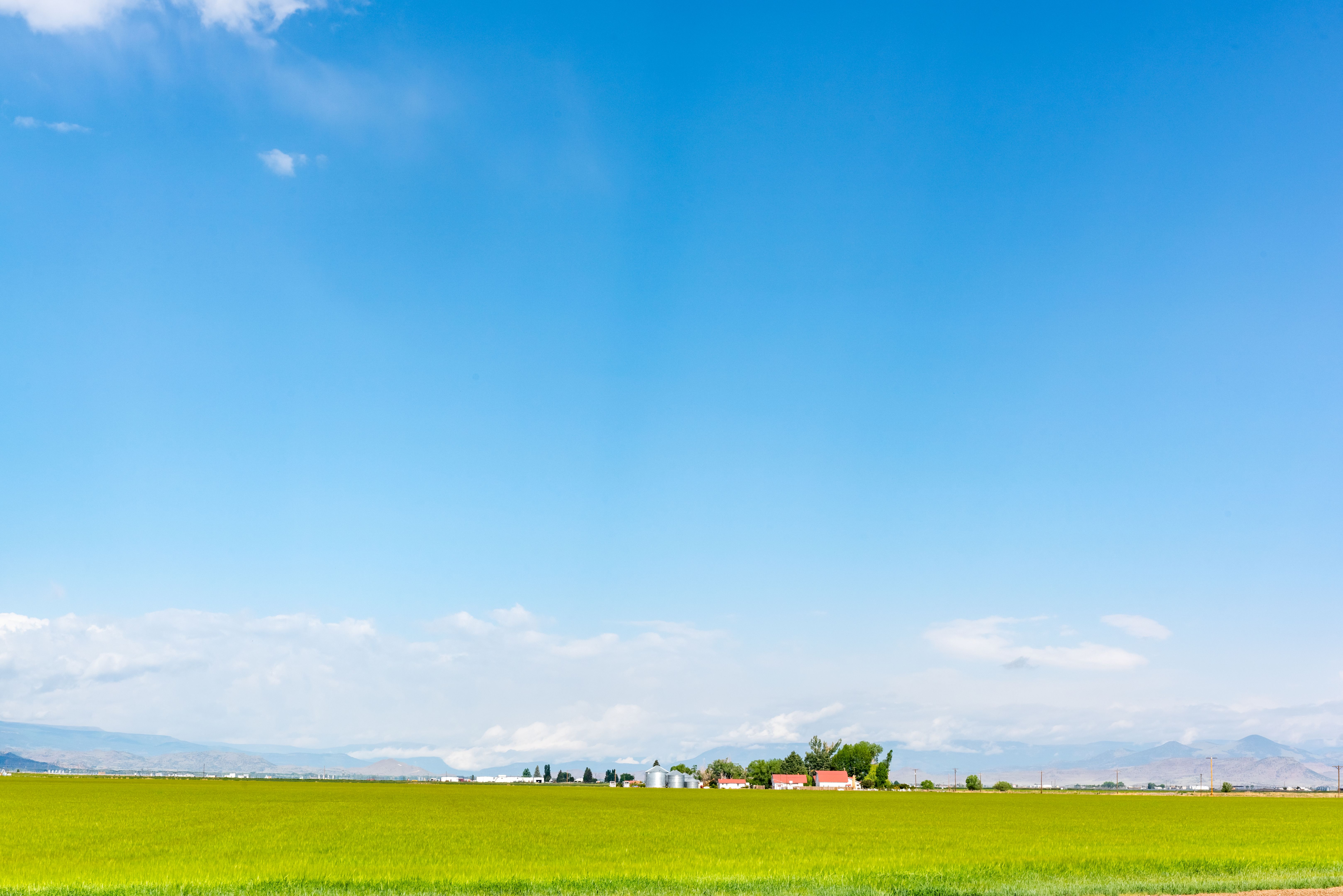 sprinkler replacement