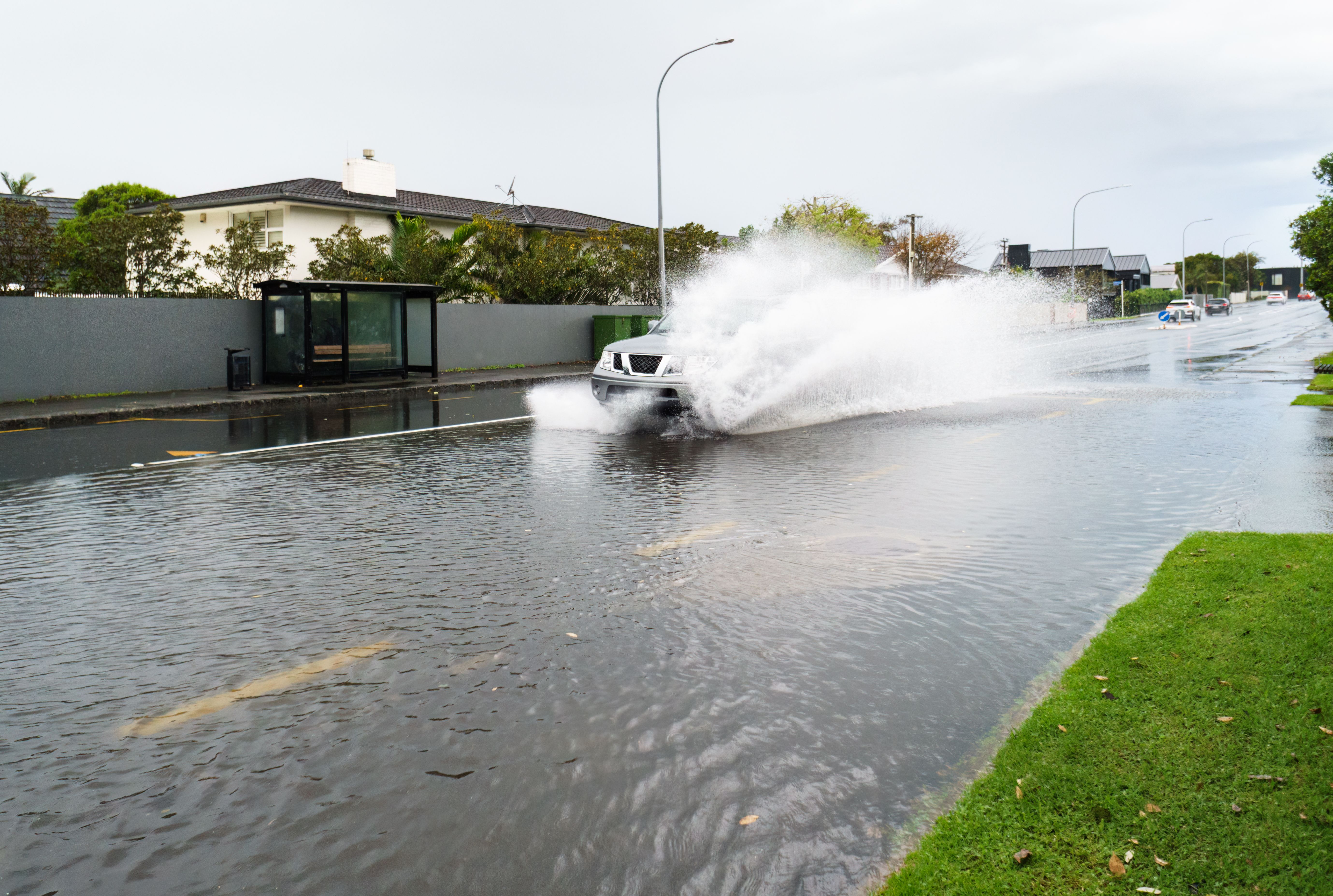 auckland weather