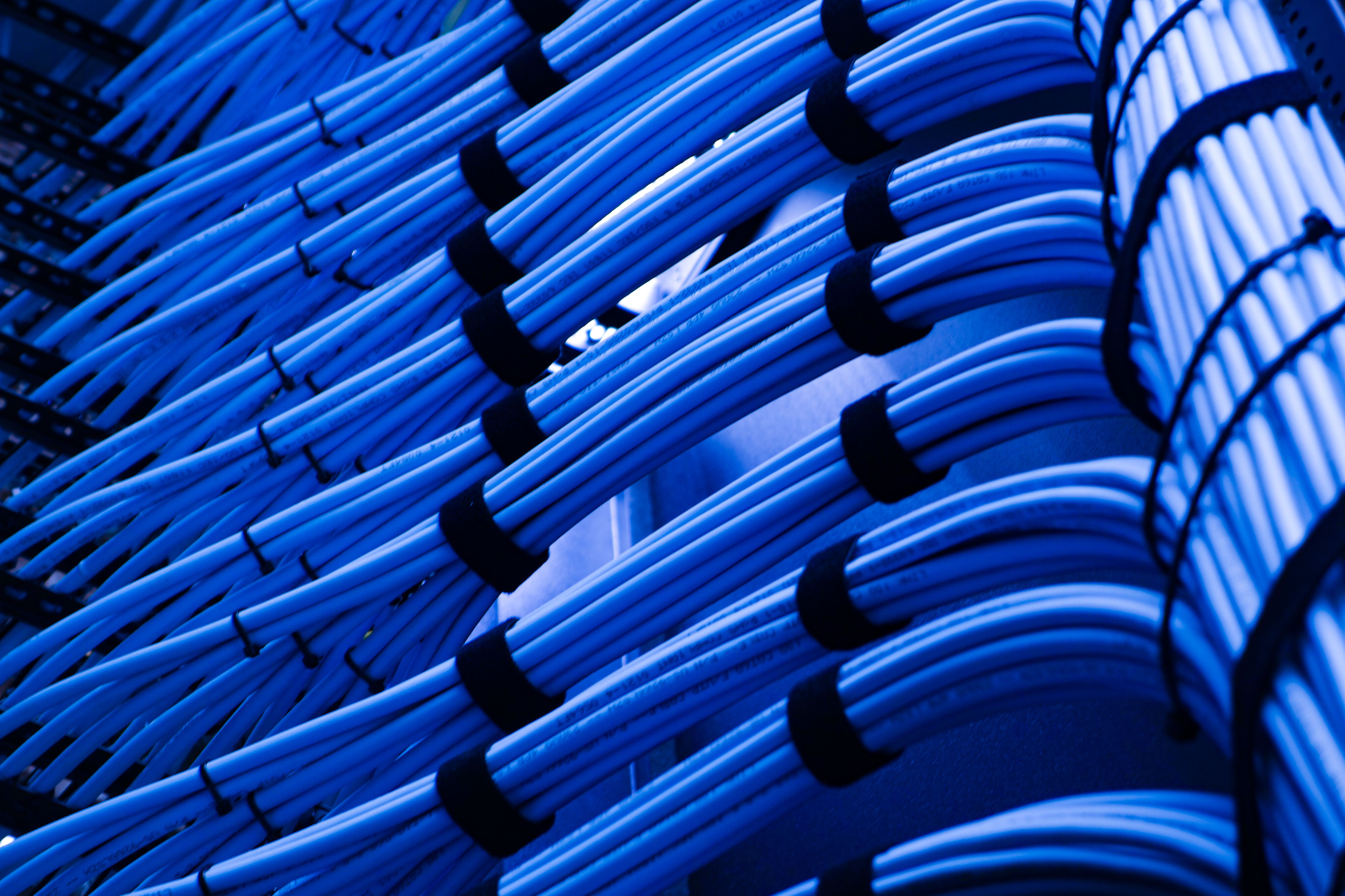 business growth cabling