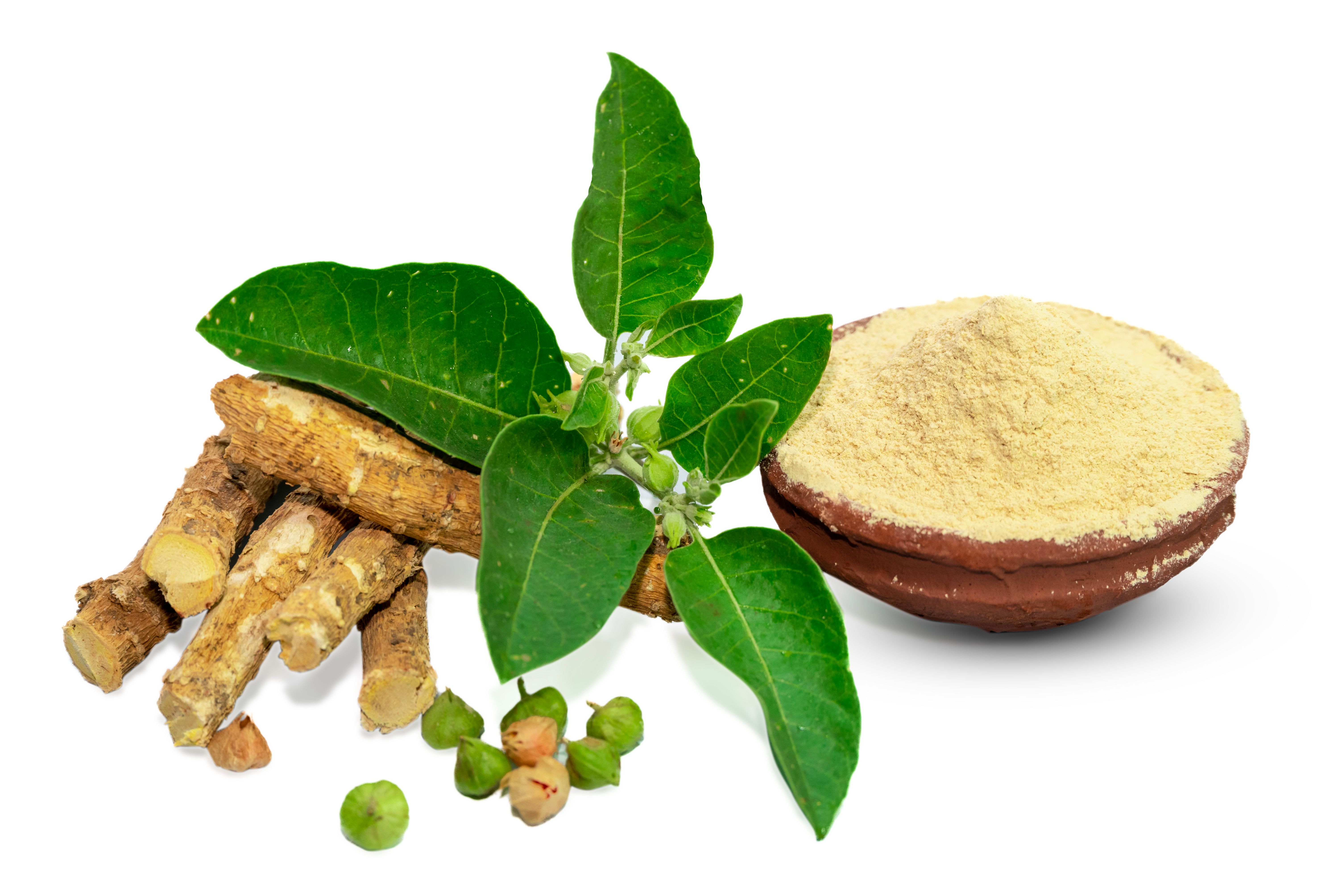 herbal roots