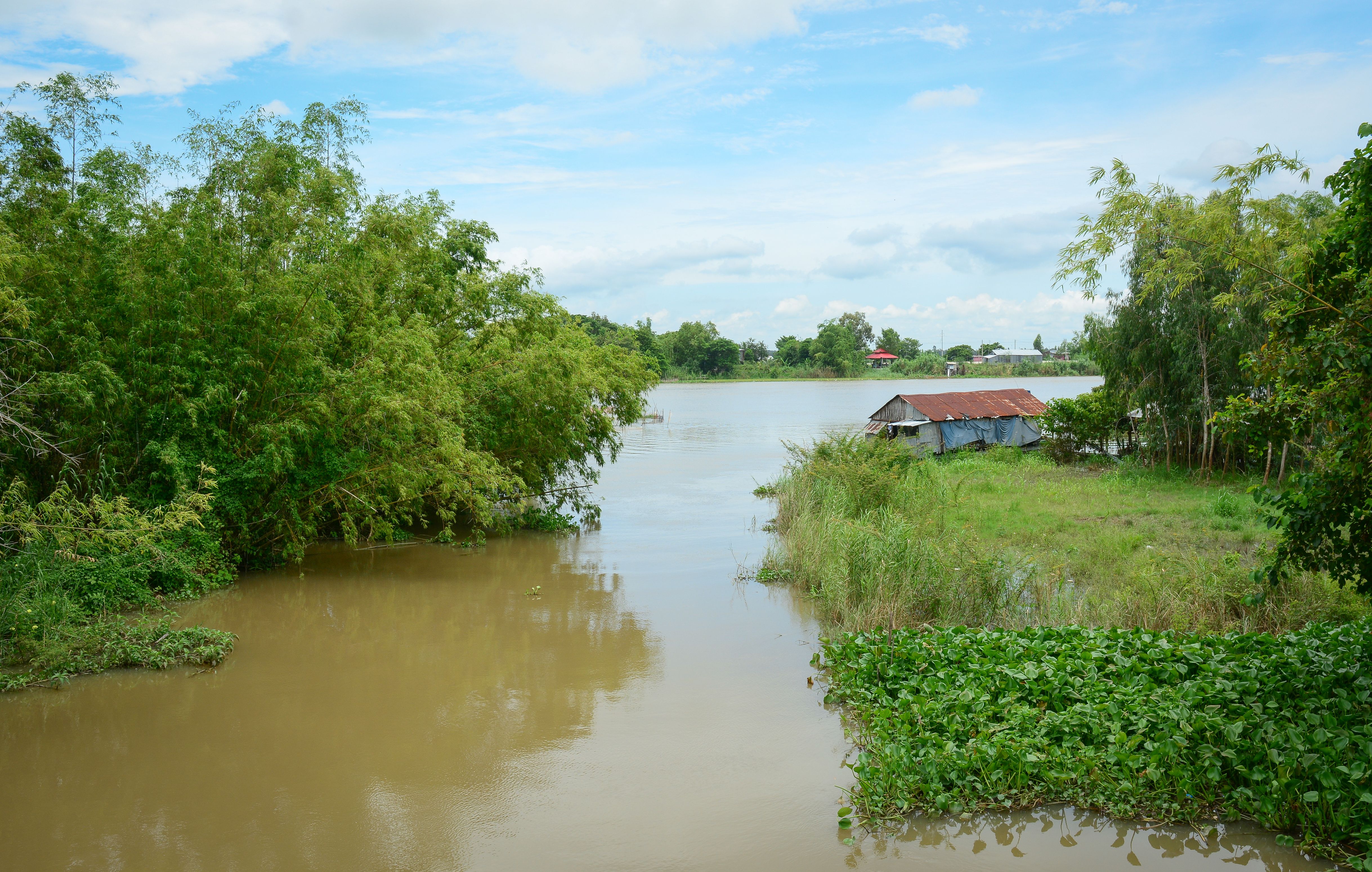 Landscape of Mekong River in Southern Vietnam