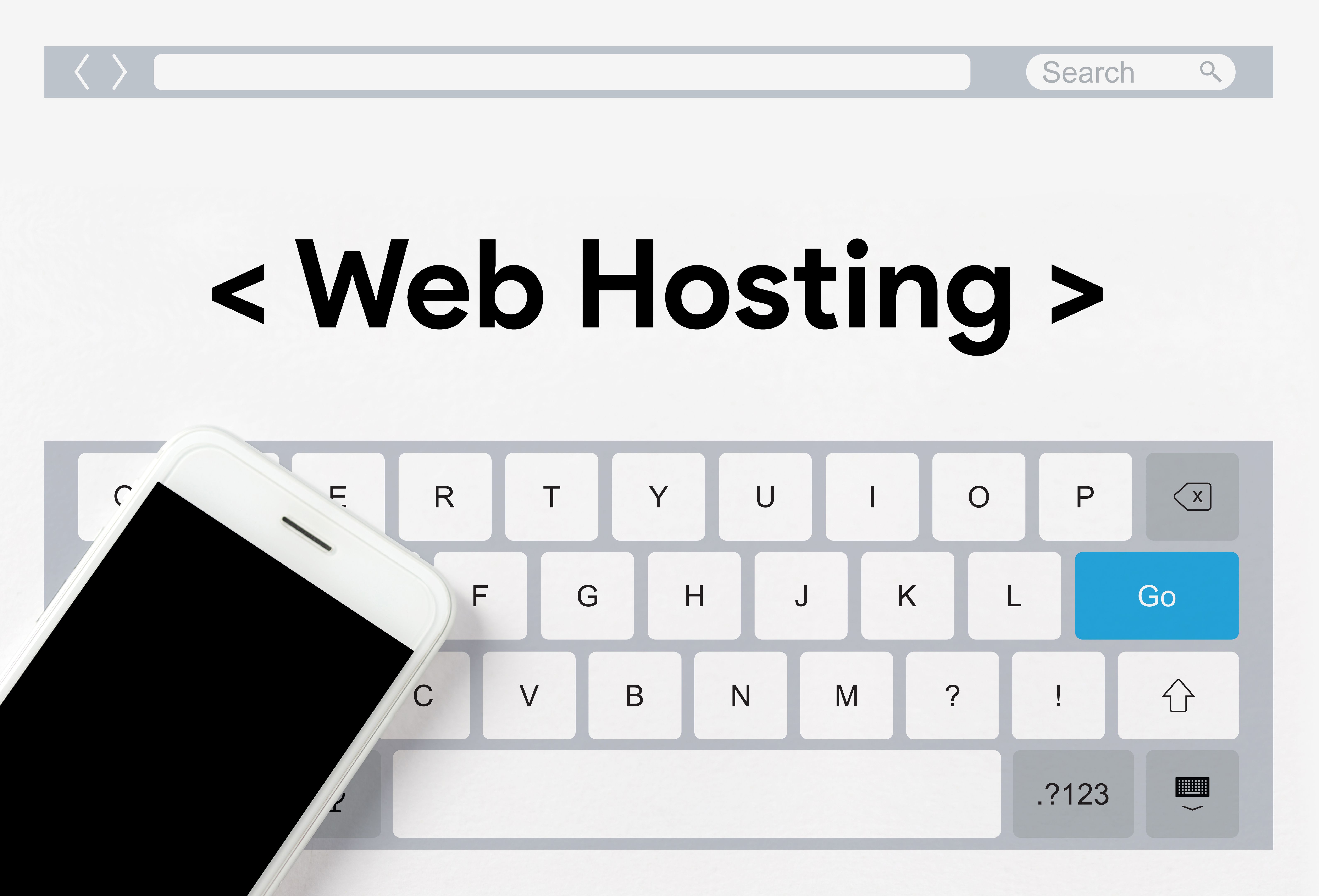 web hosting cost