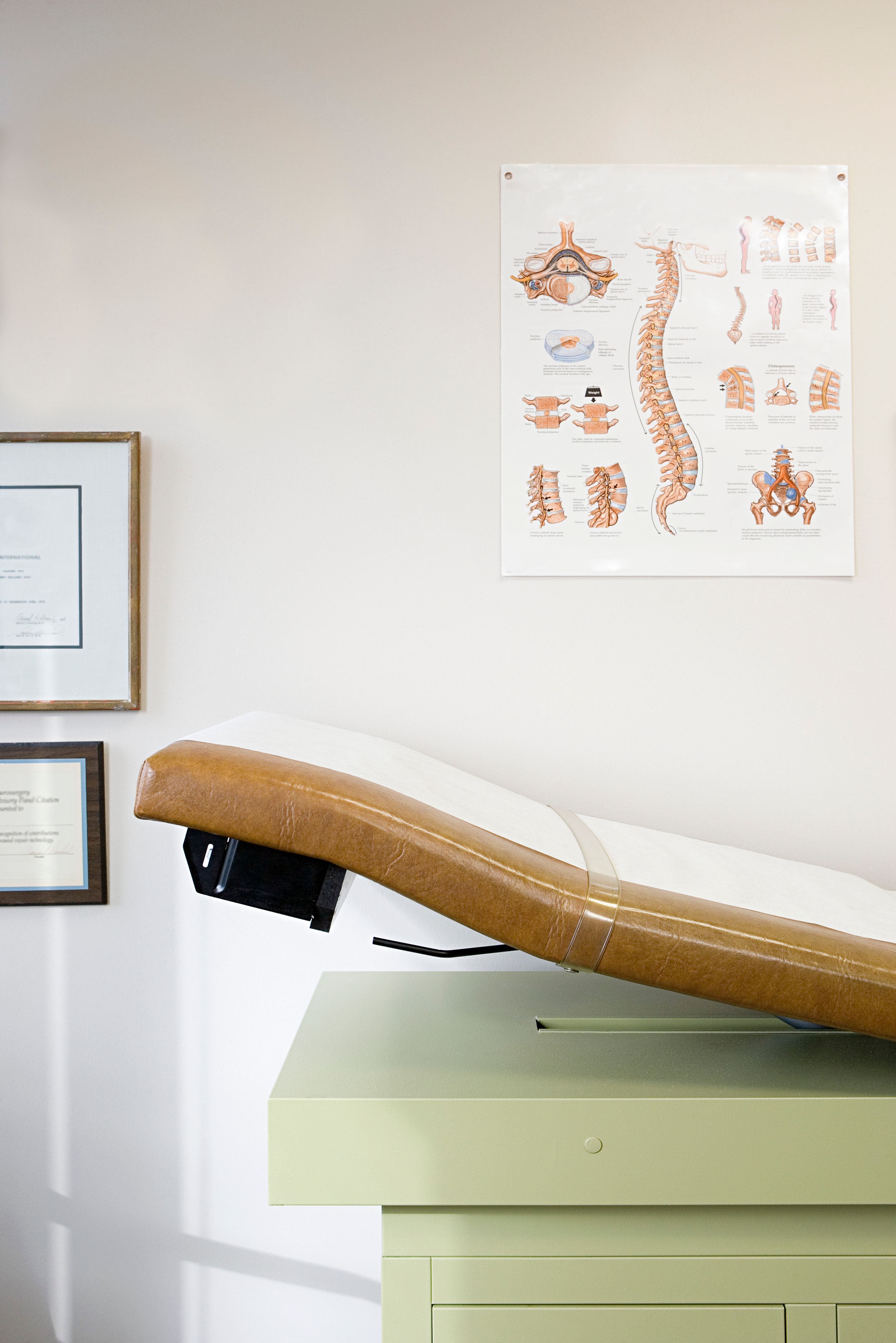chiropractor certification
