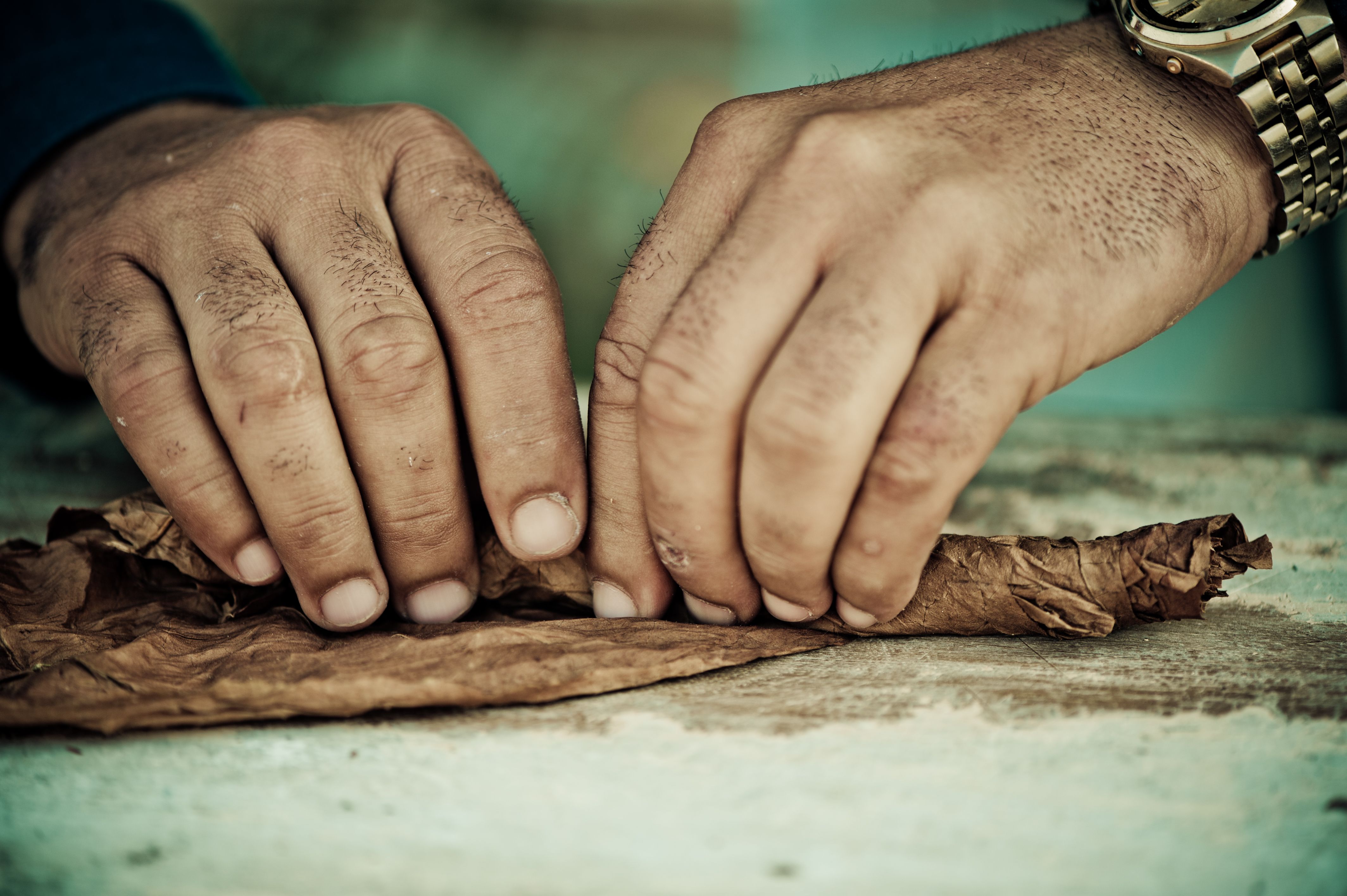 hand rolling cigar