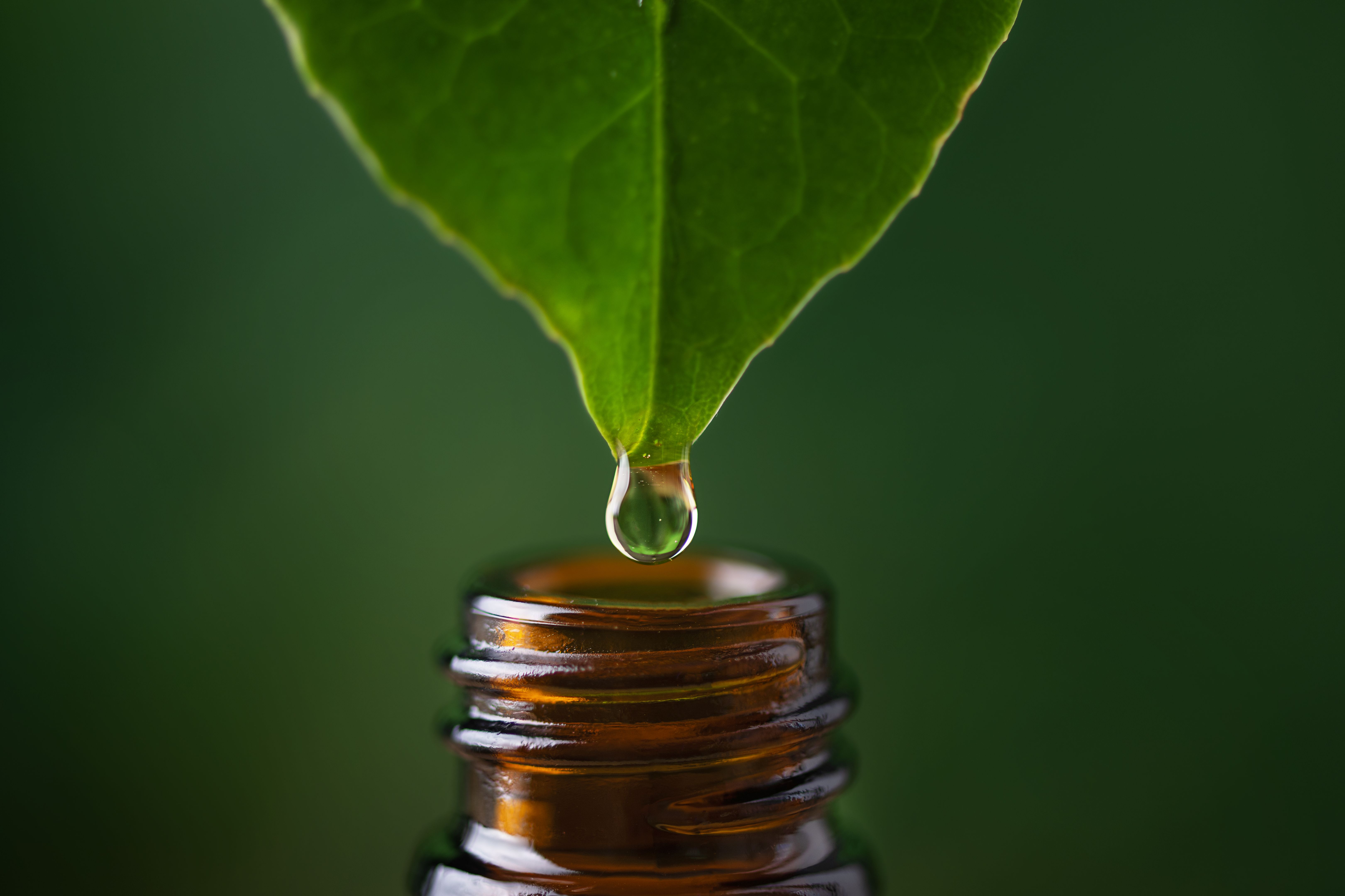 holistic health