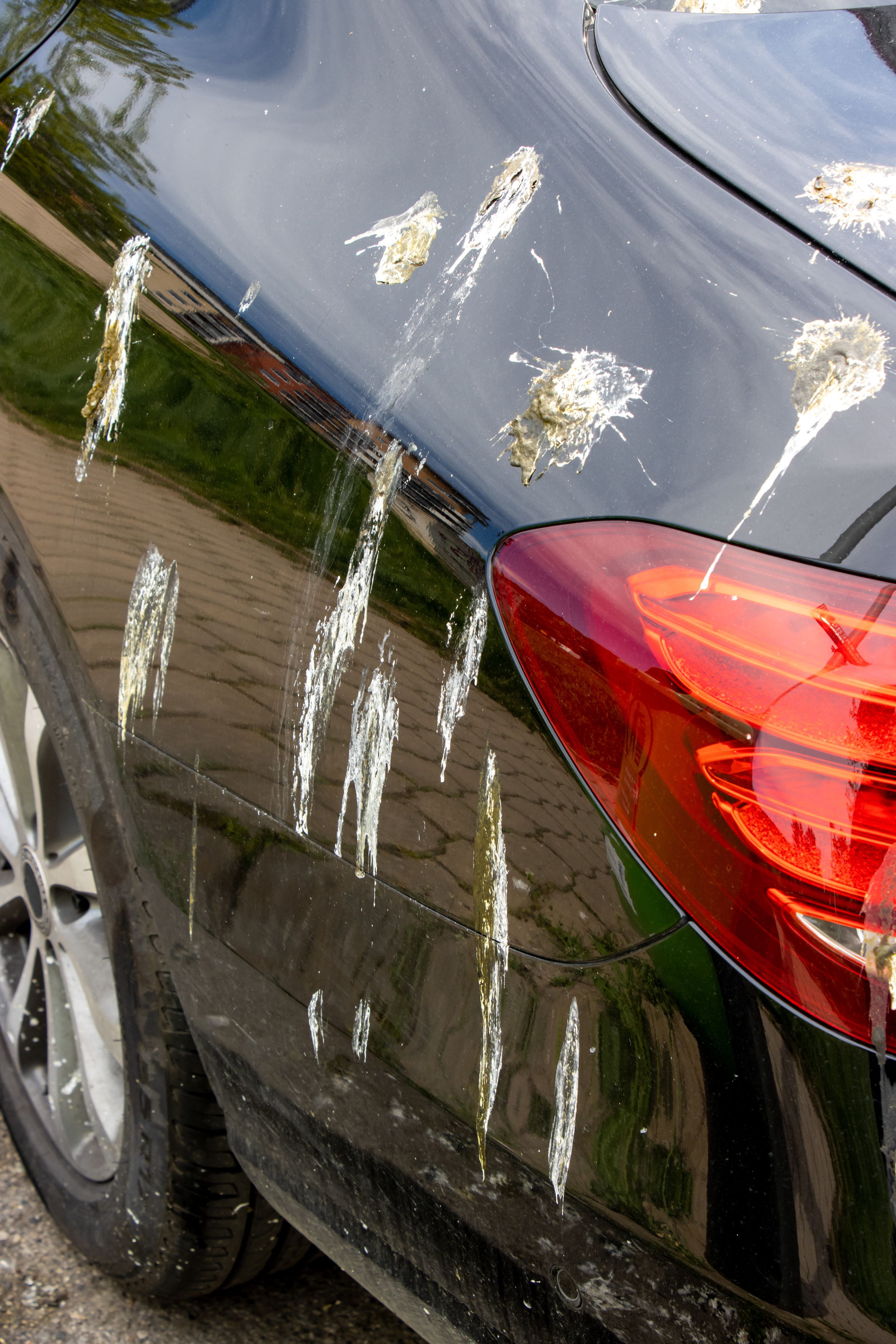 The hood of a luxury car is dirty from bird droppings. The hood of a luxury car is dirty from bird droppings.