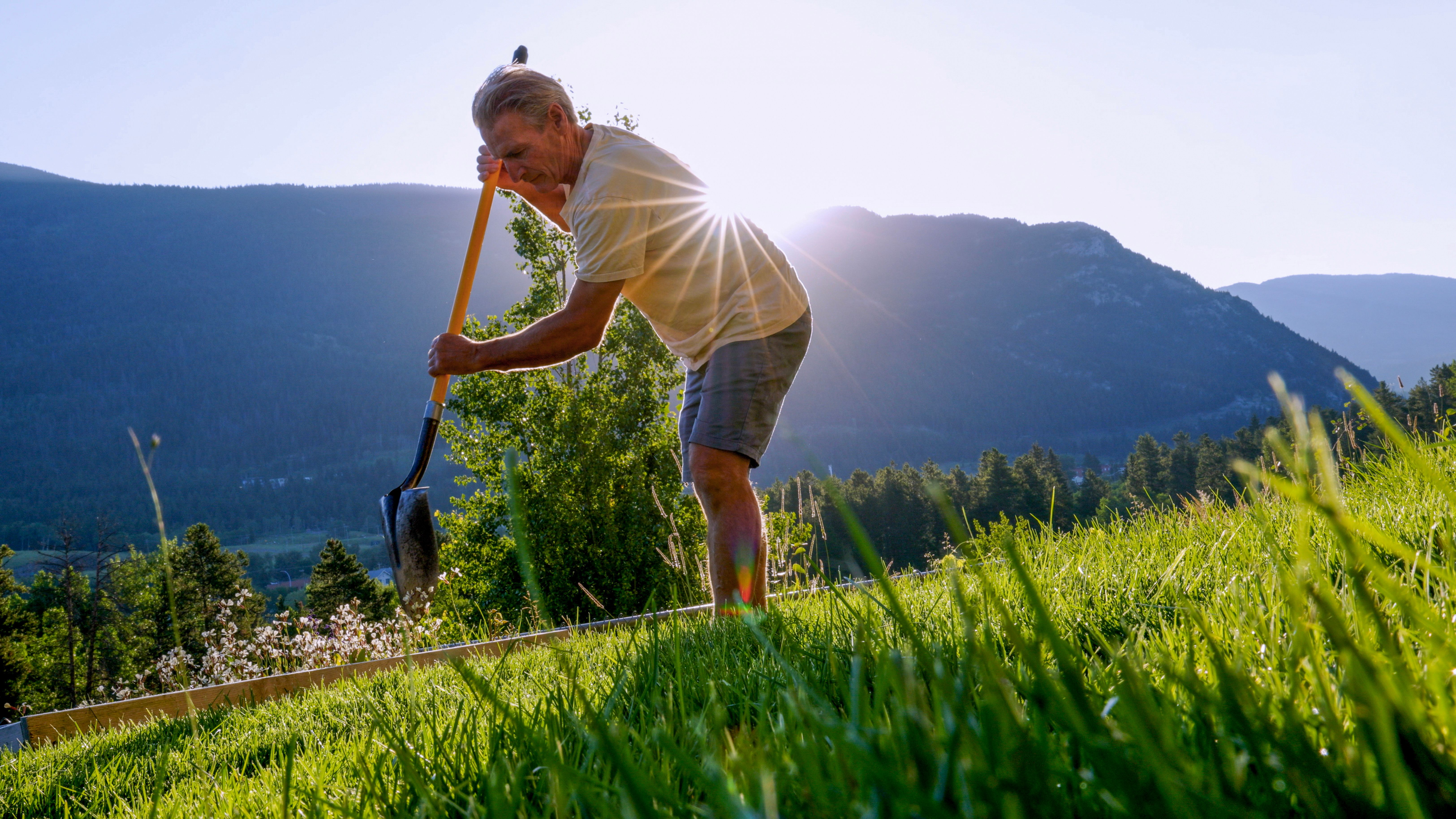 eco-friendly landscaping