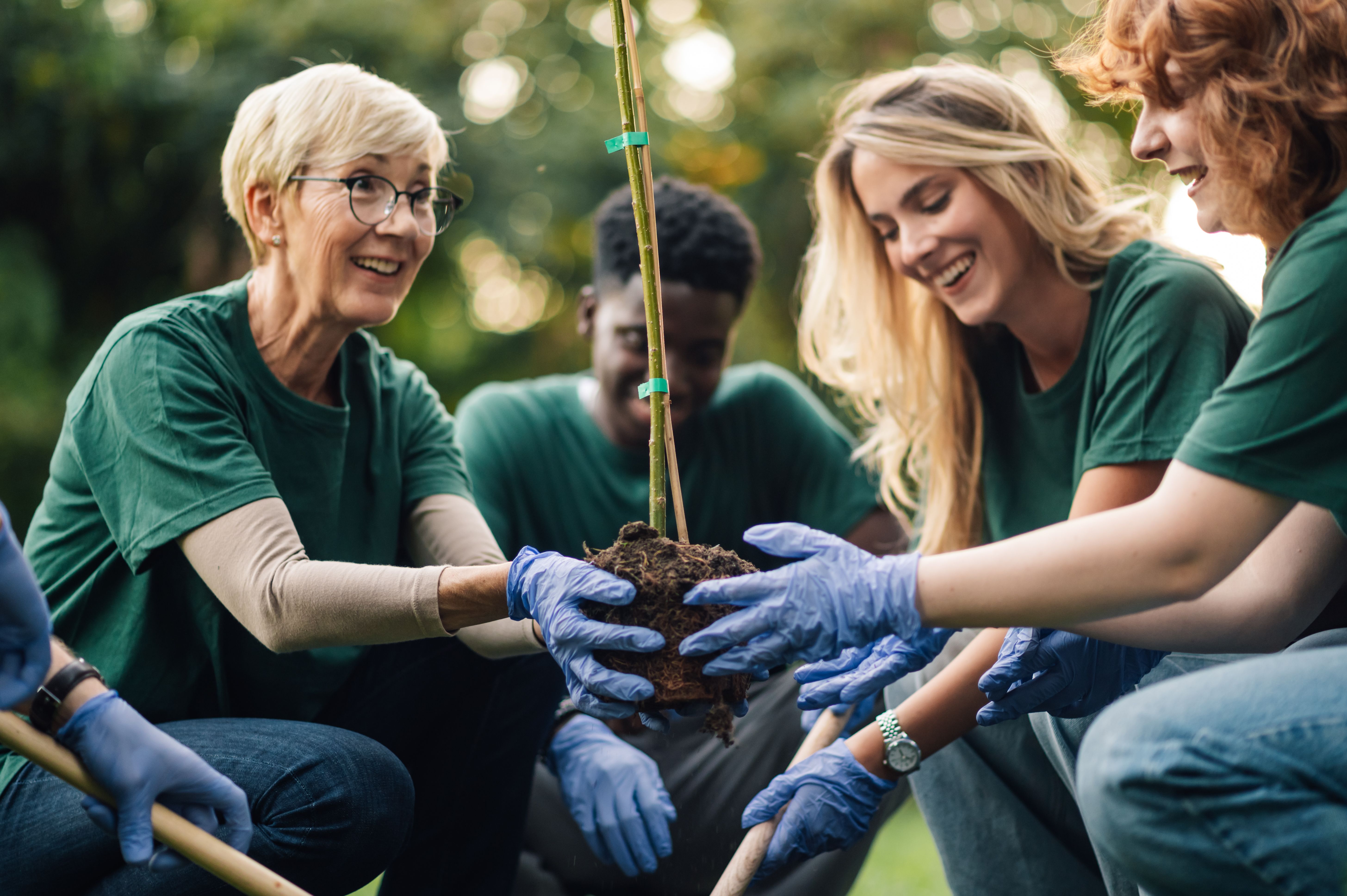 corporate volunteering