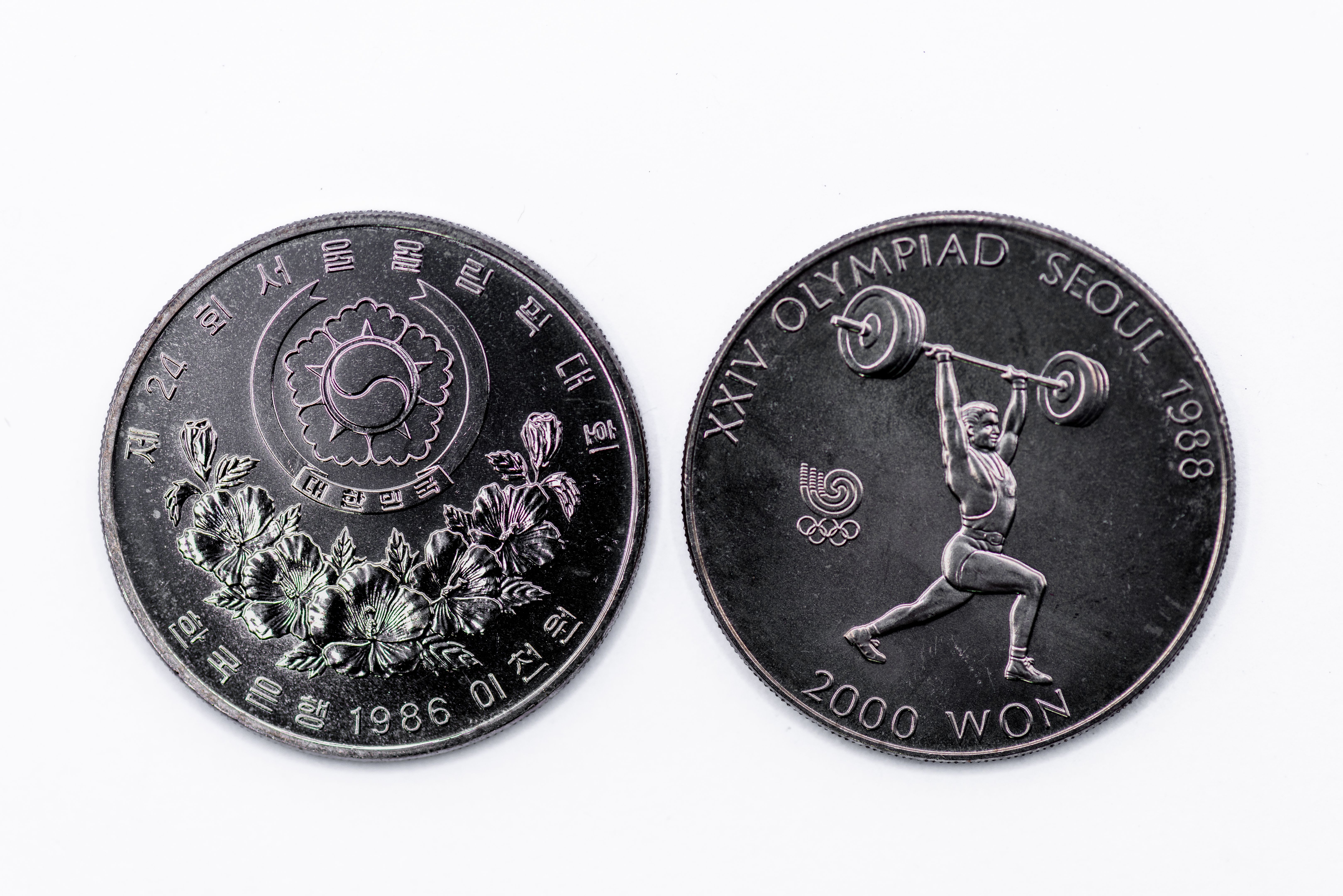 boxing transformation