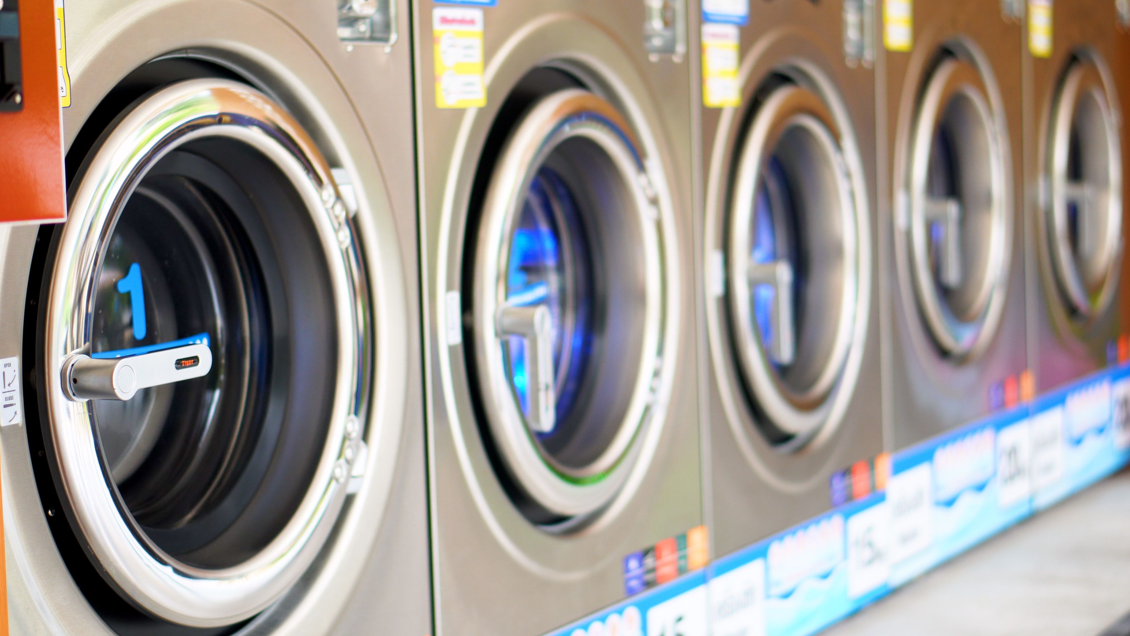 wash and fold service