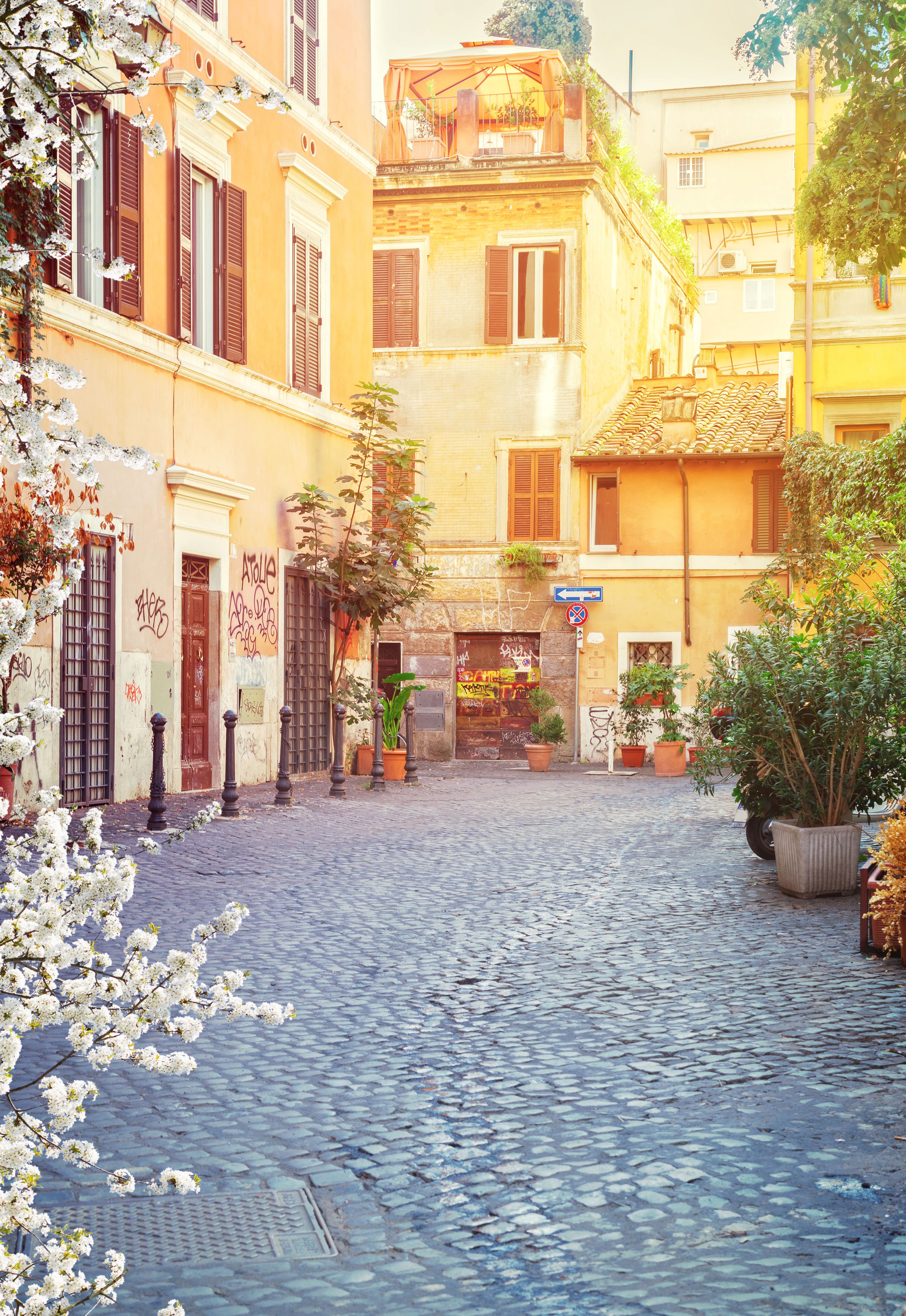 trastevere primavera