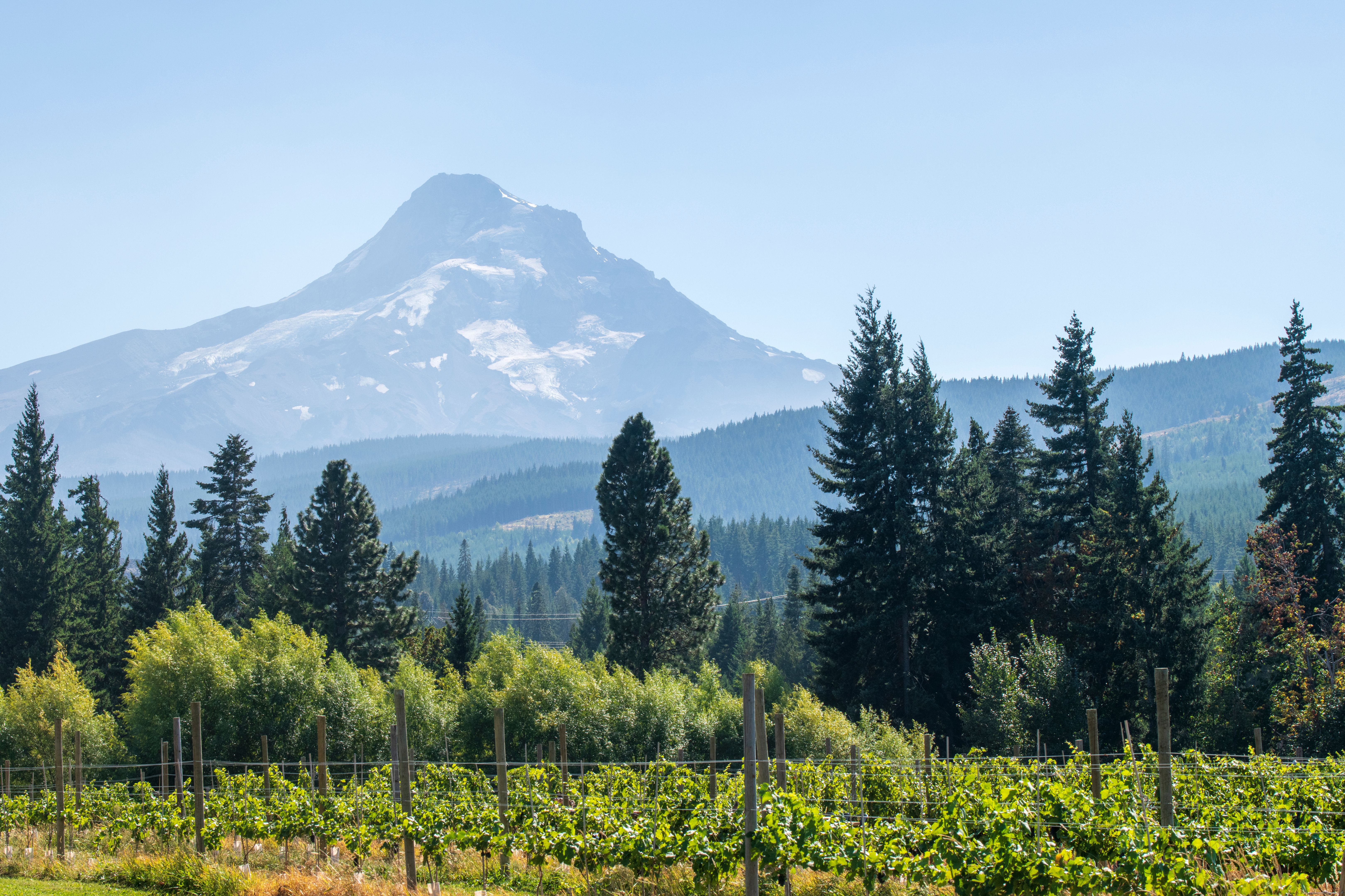 southern oregon landscape