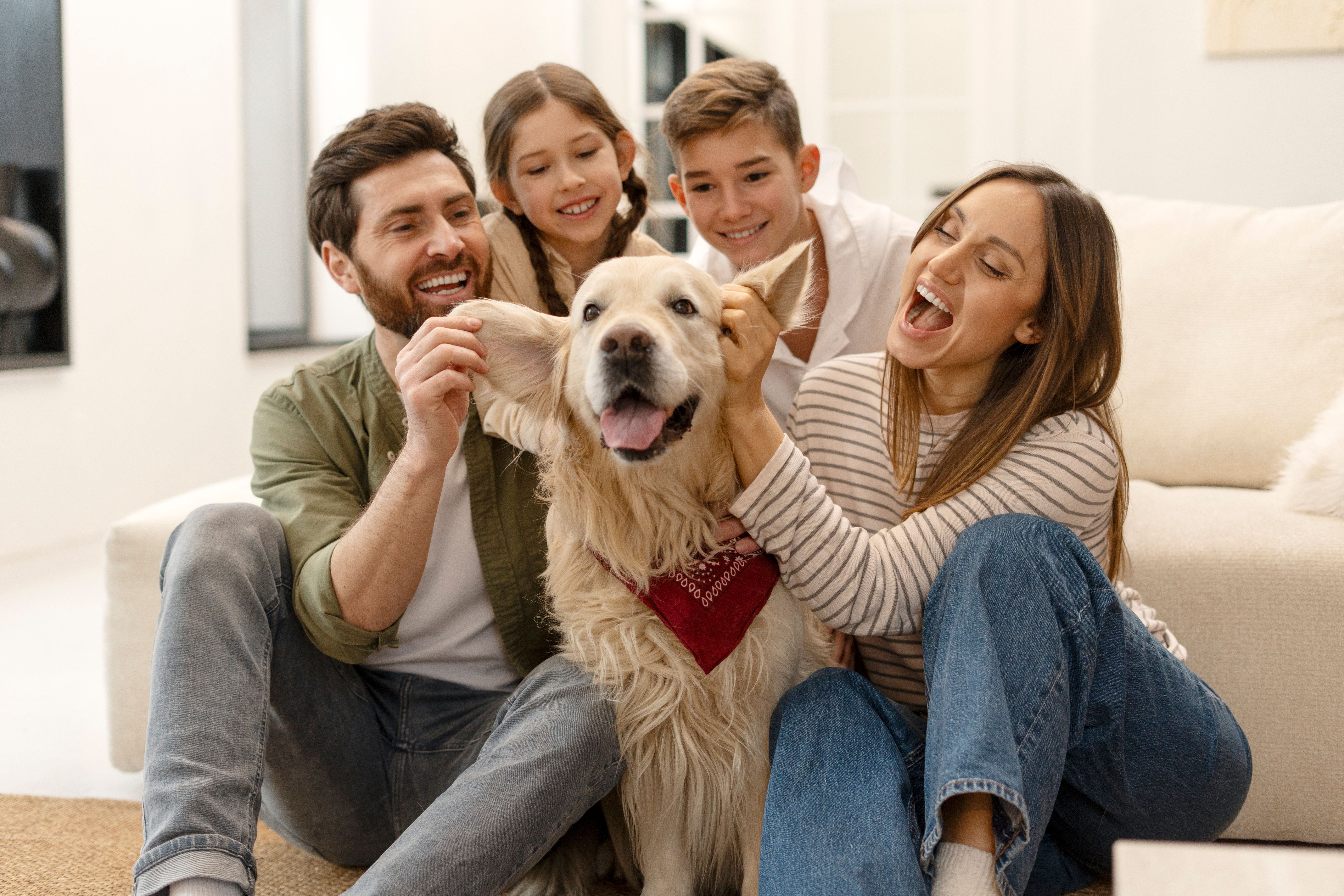happy pet