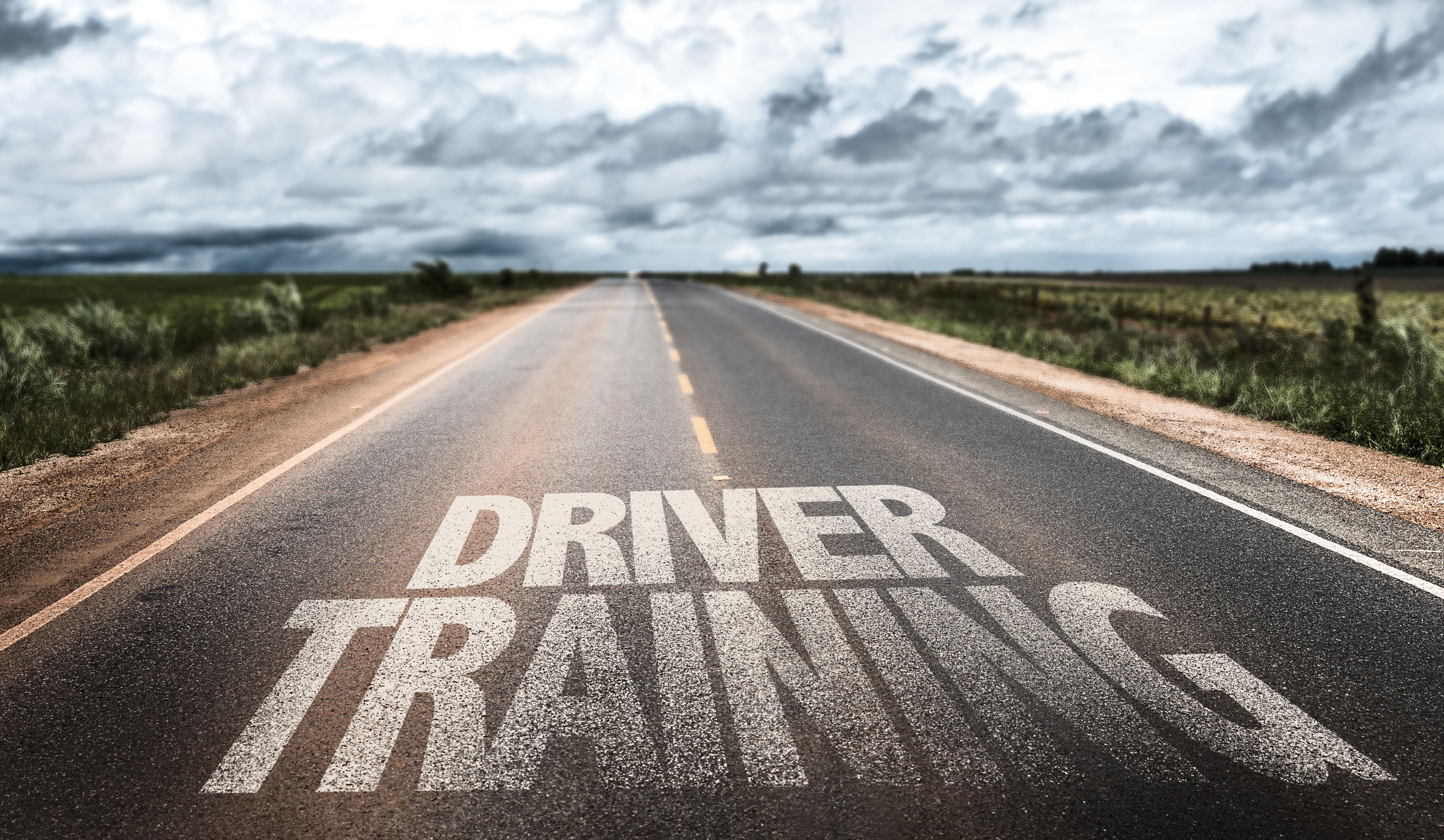 driving instructor training