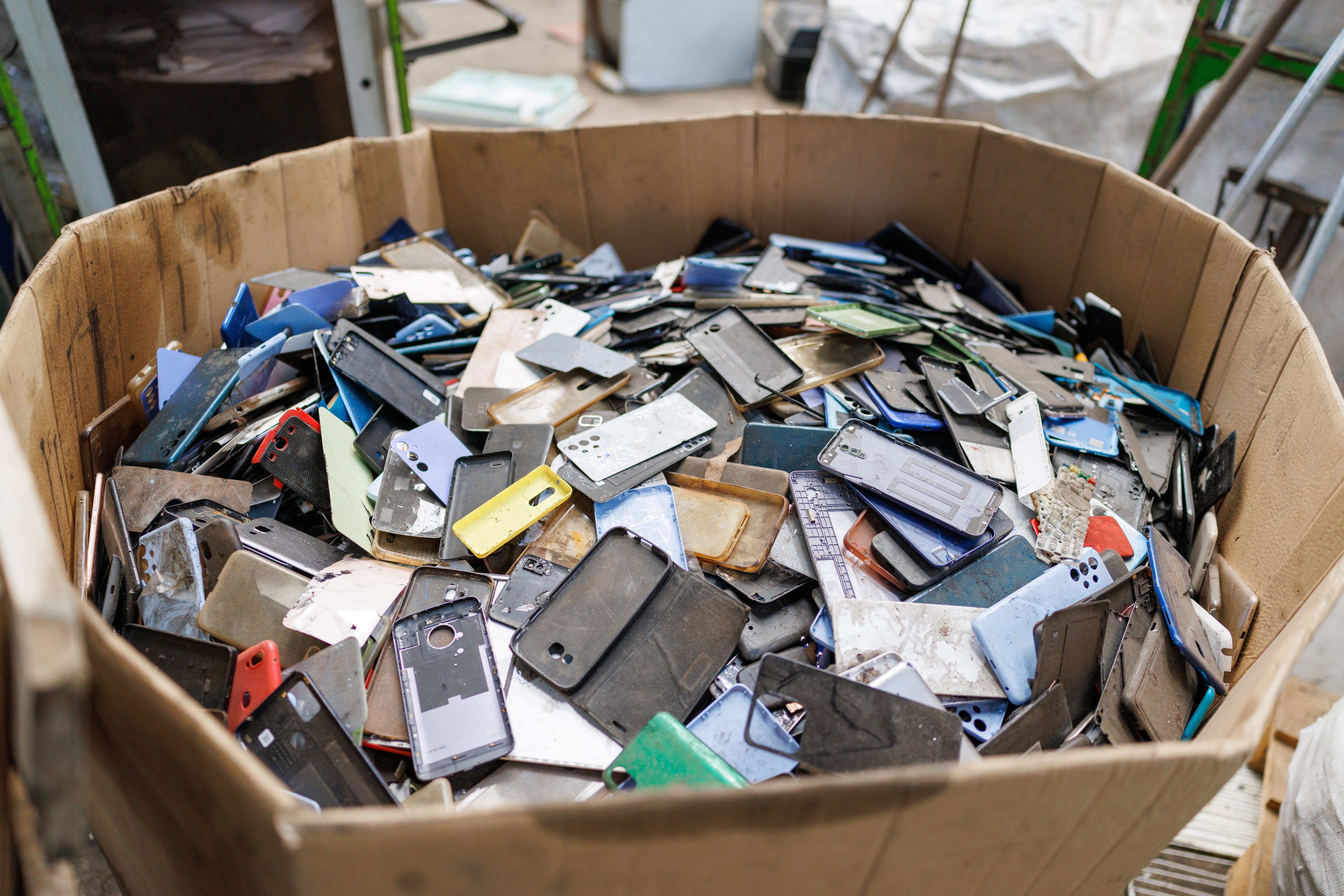 eco-friendly phone case