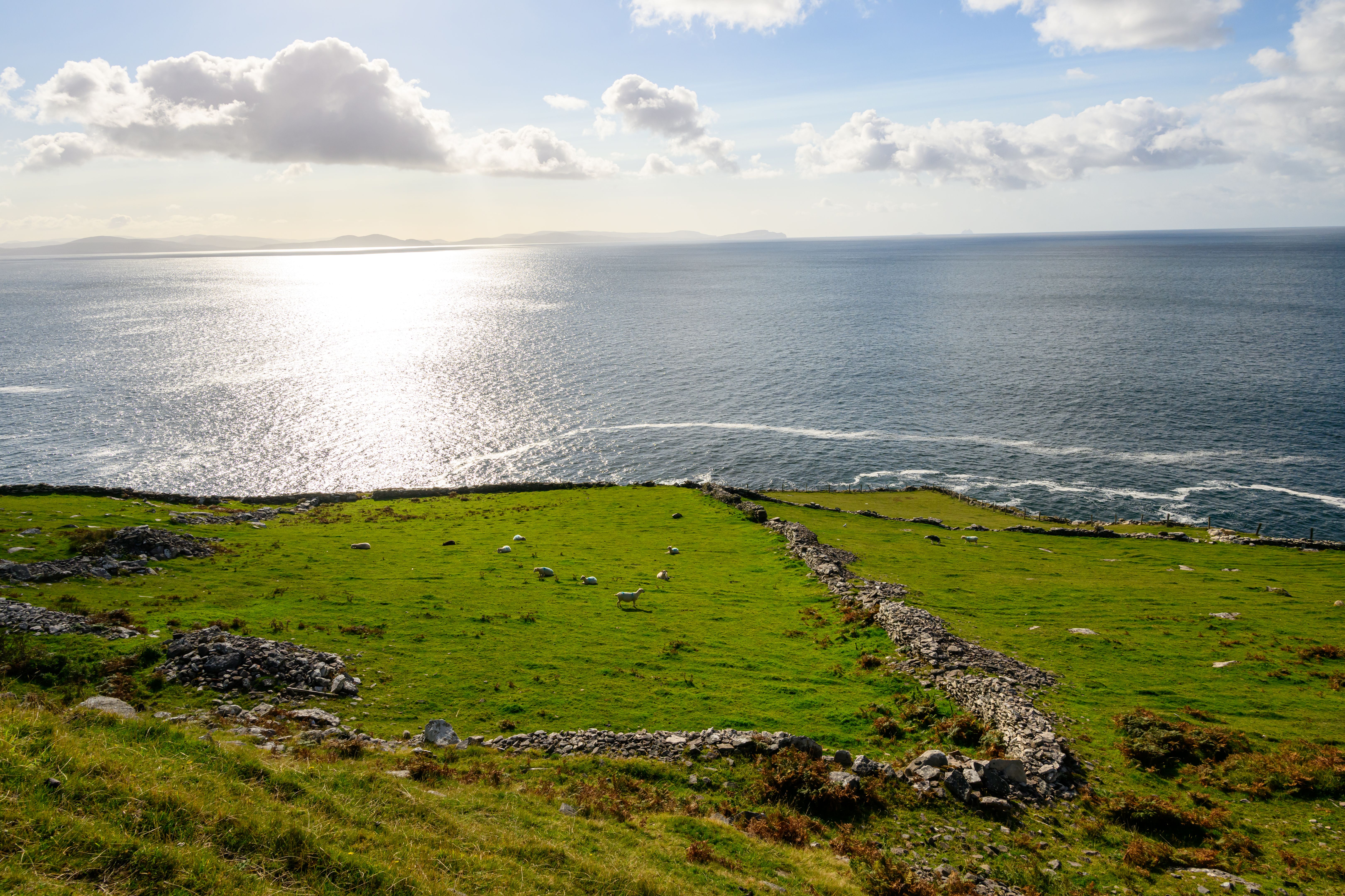 Dry stone wall seperated farm land on Dingle Peninsula, County Kerry Dry stone wall seperated farm land on Dingle Peninsula, County Kerry