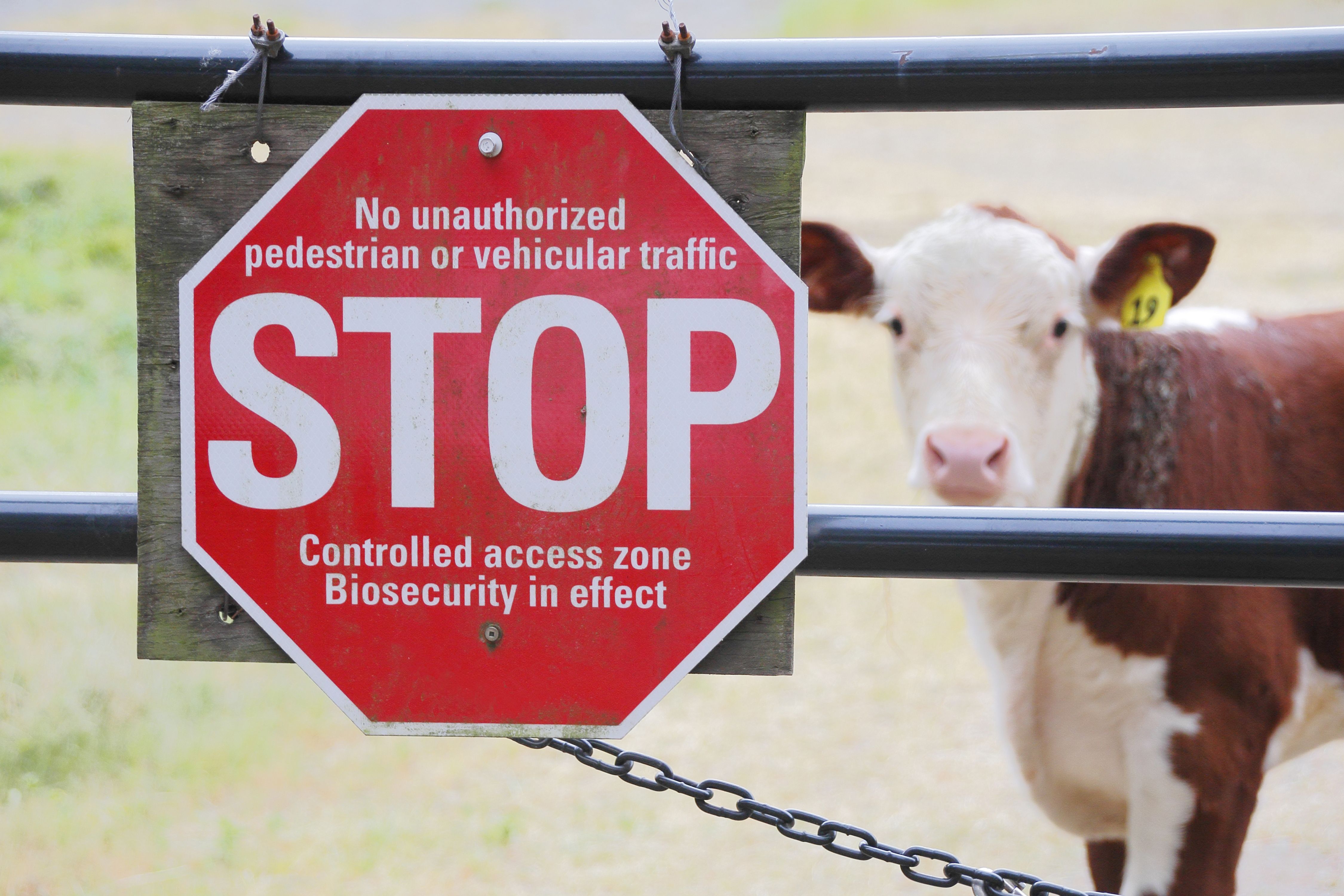 biosecurity awareness