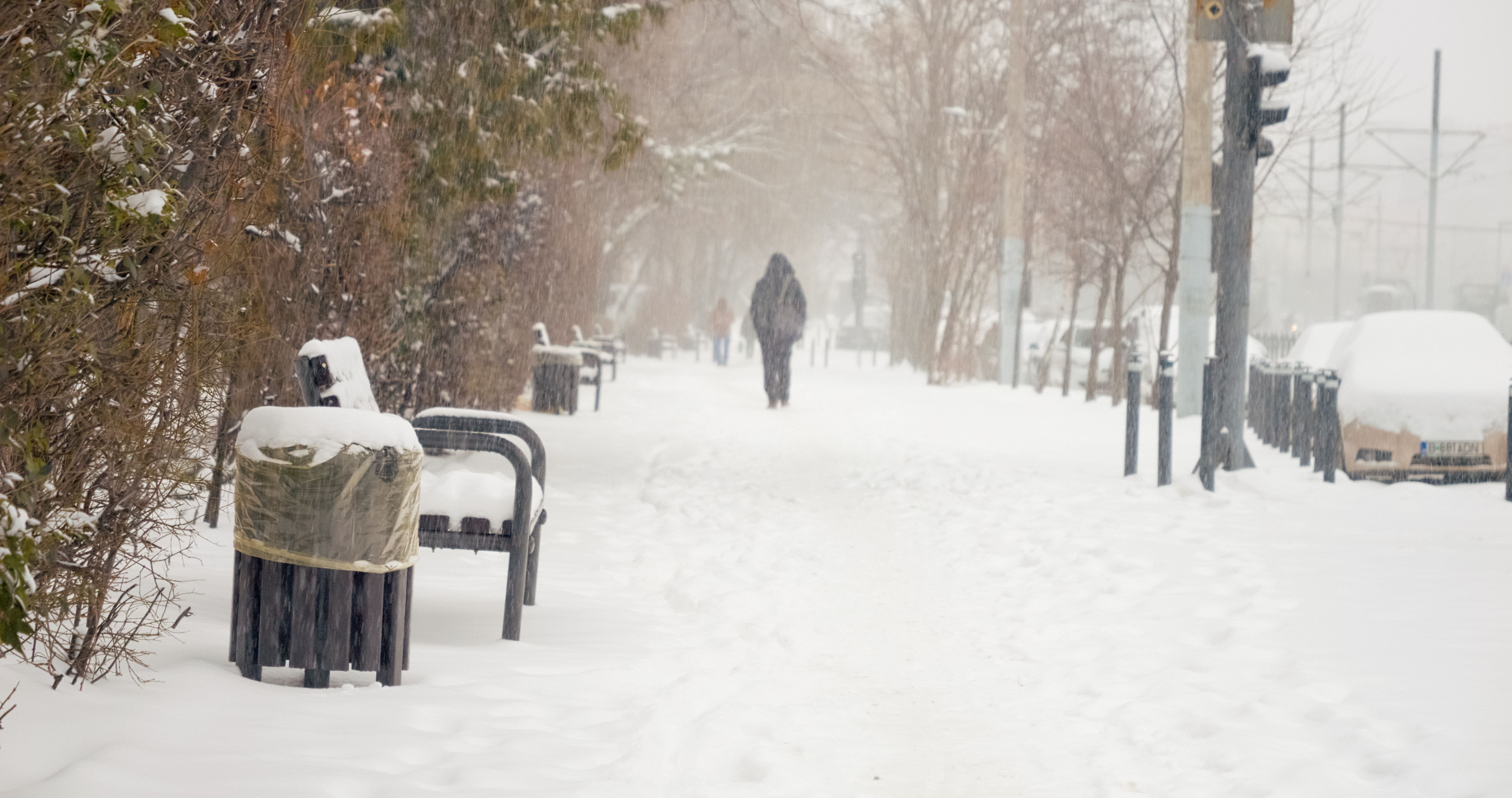 winter storm preparedness