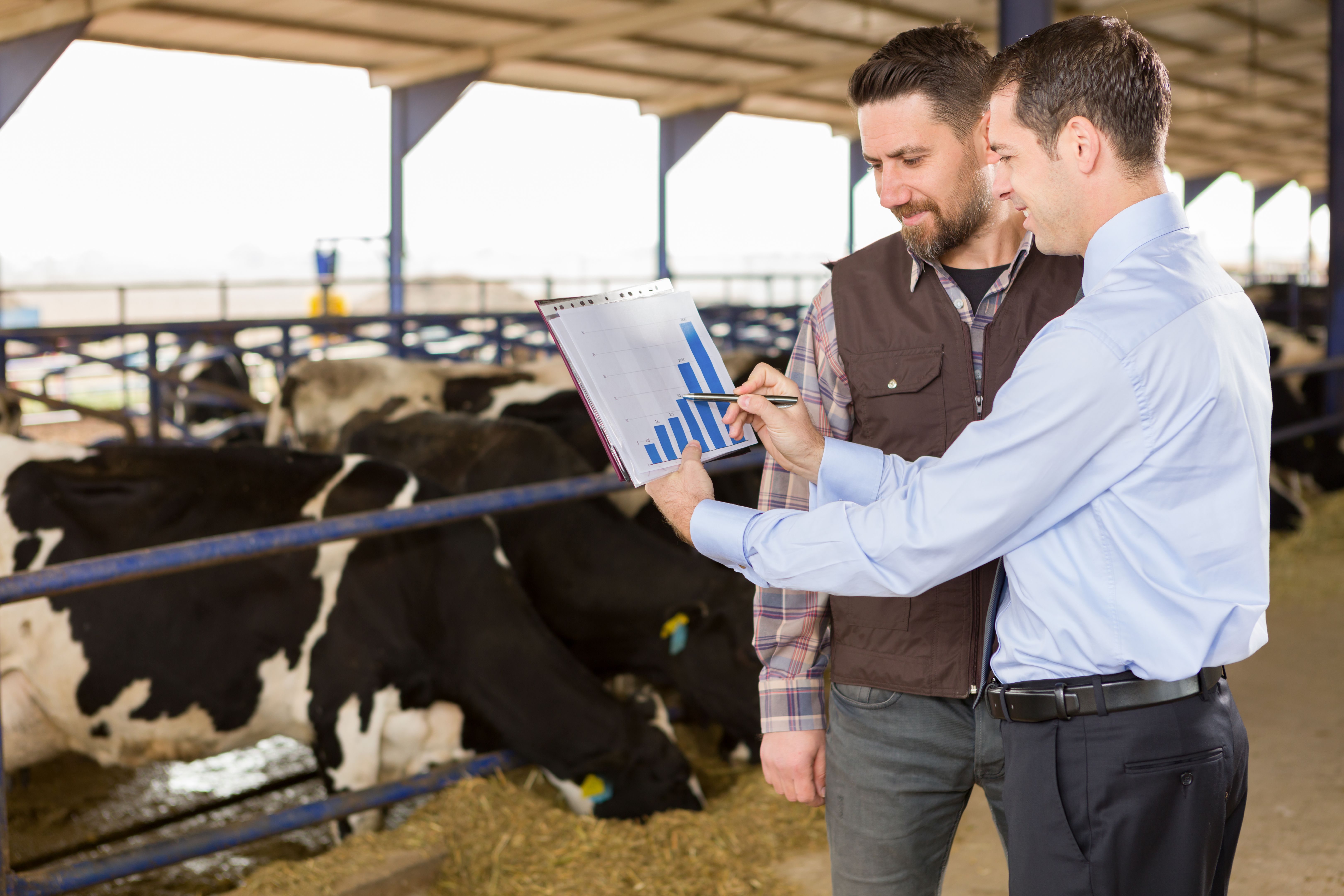 Farmer and Financial Advisor Farmer and Financial Advisor