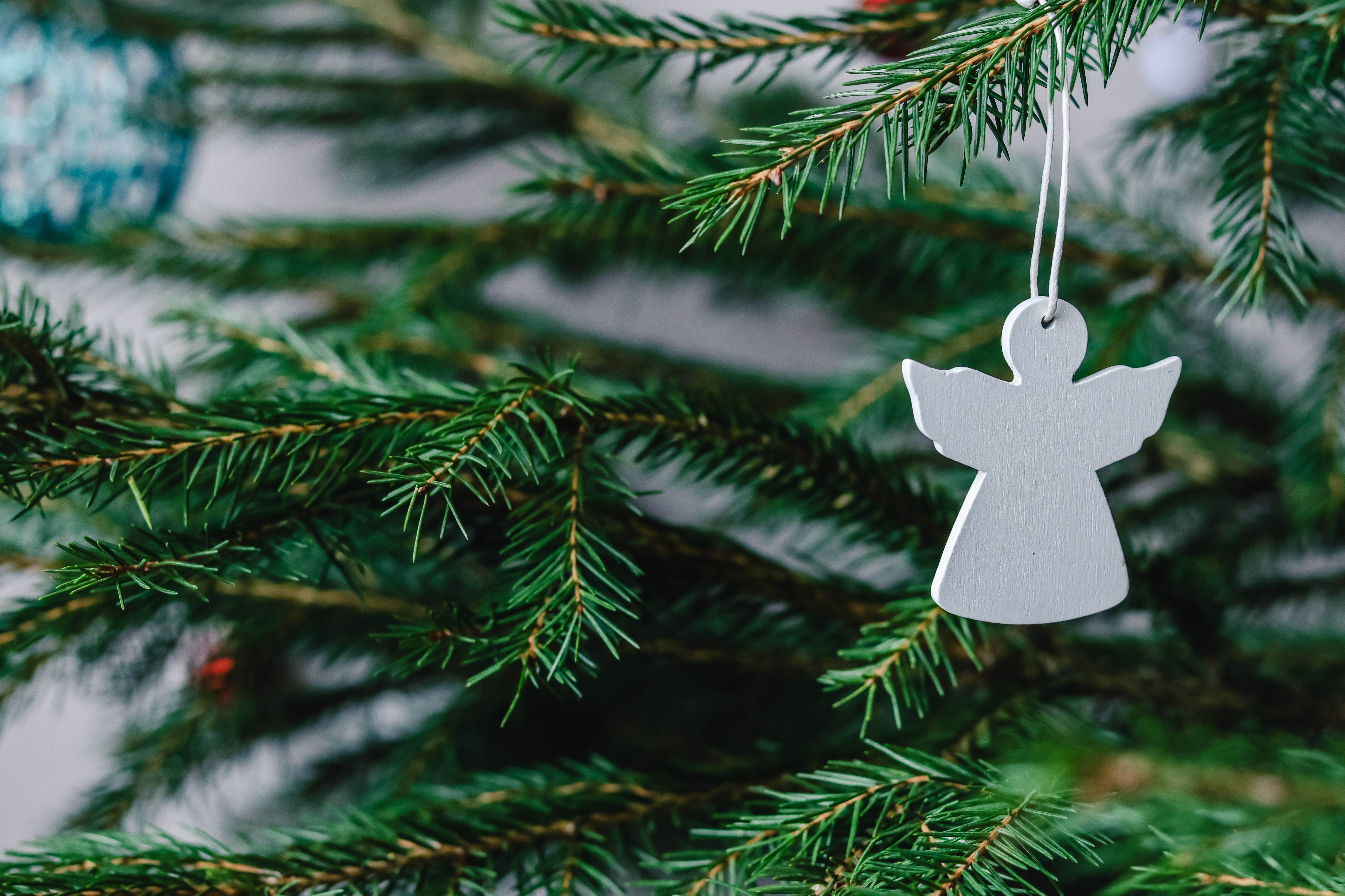 Christmas tree toy white wooden angel hanging on a spruce branch Christmas tree toy white wooden angel hanging on a spruce branch