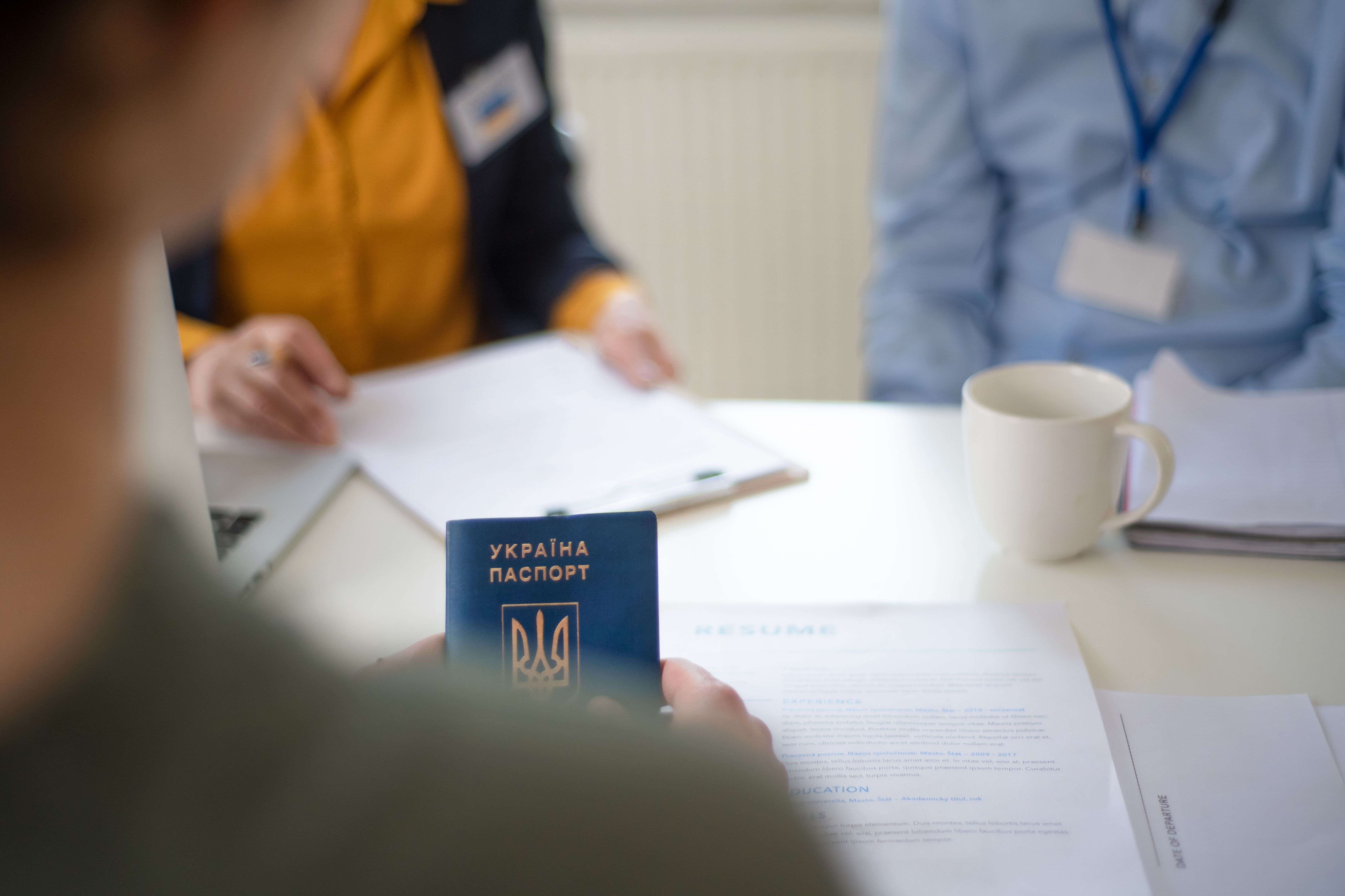 refugee job interview
