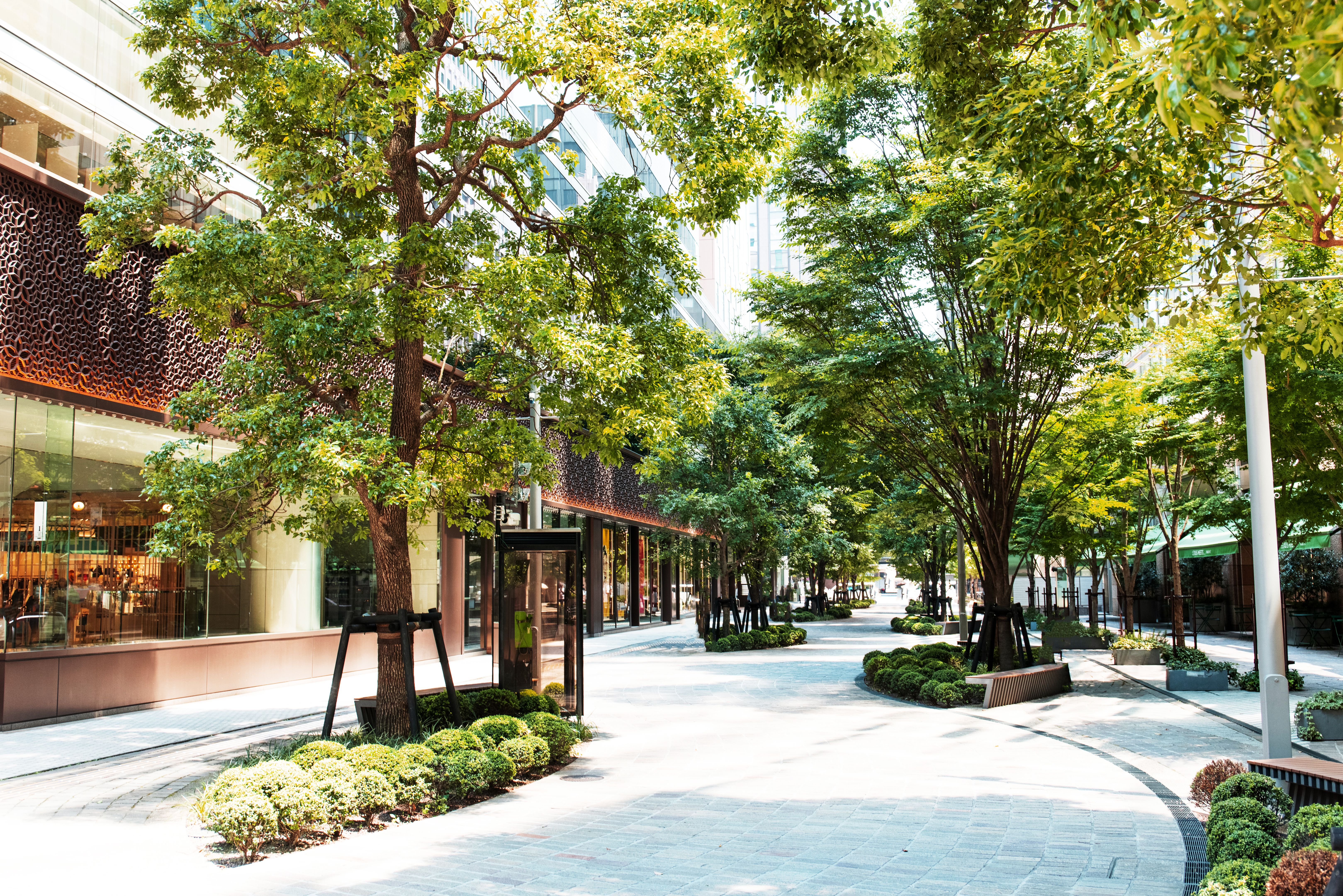 tokyo park
