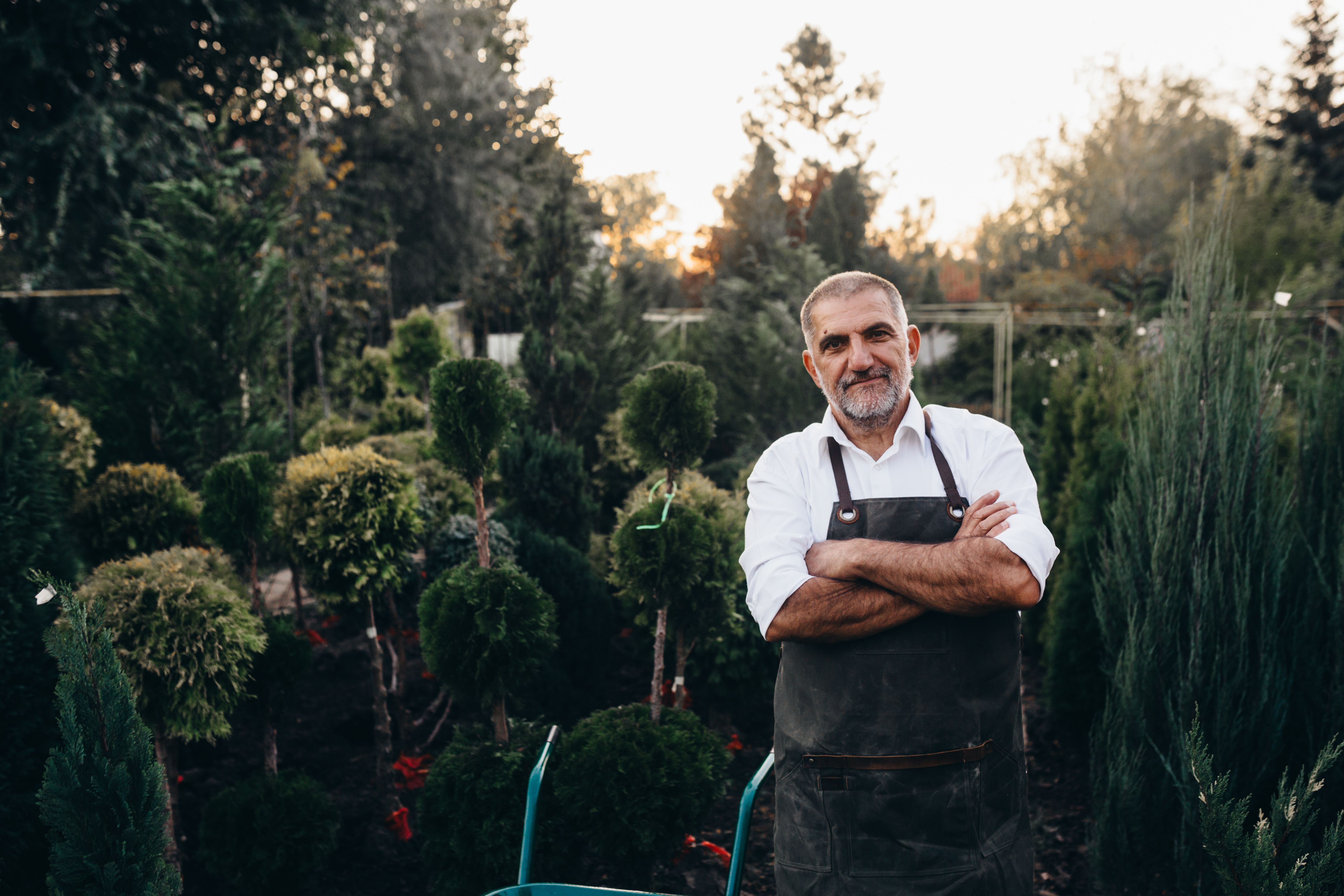 small business landscaping