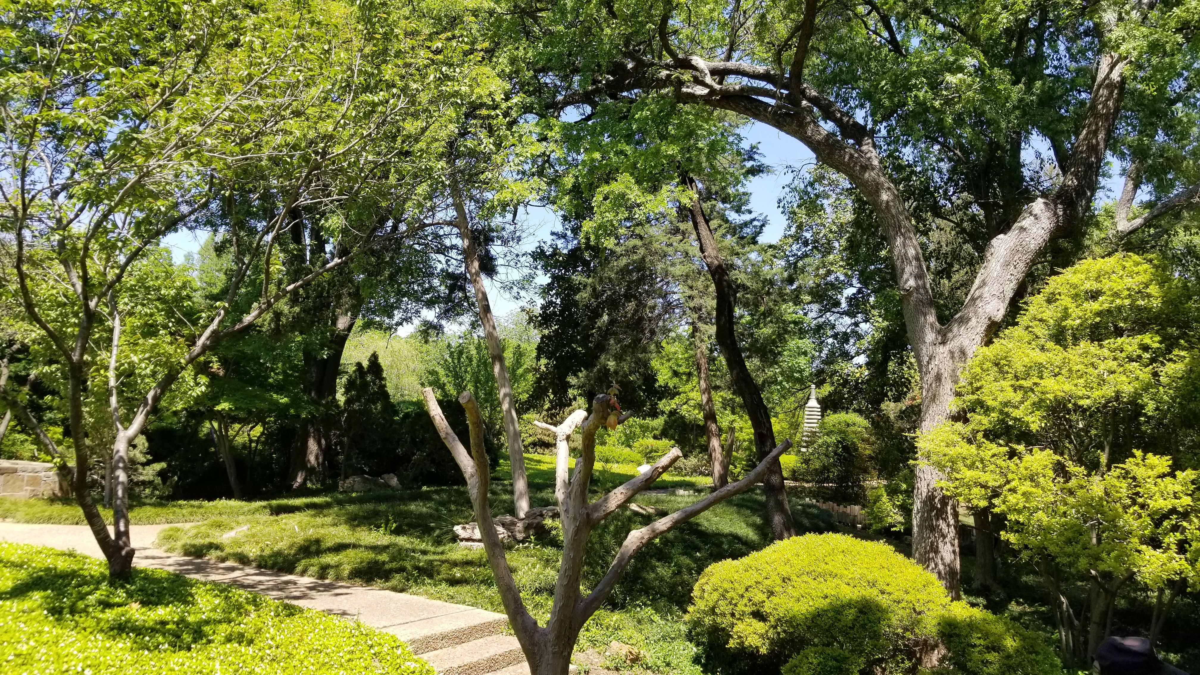 lawn care fort worth