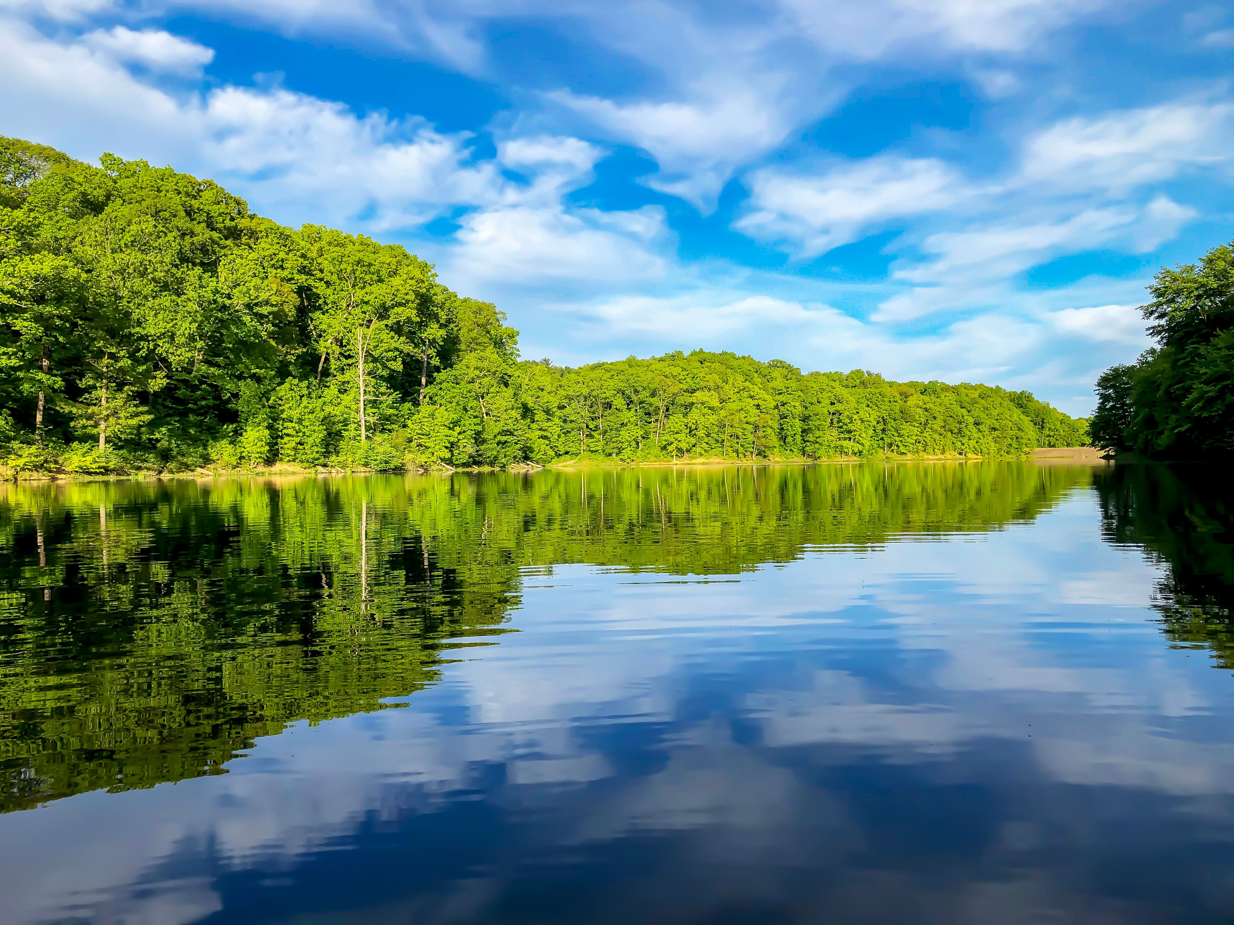 Quiet Reflection: The Shoreline of Monroe Lake with Distant Dam
