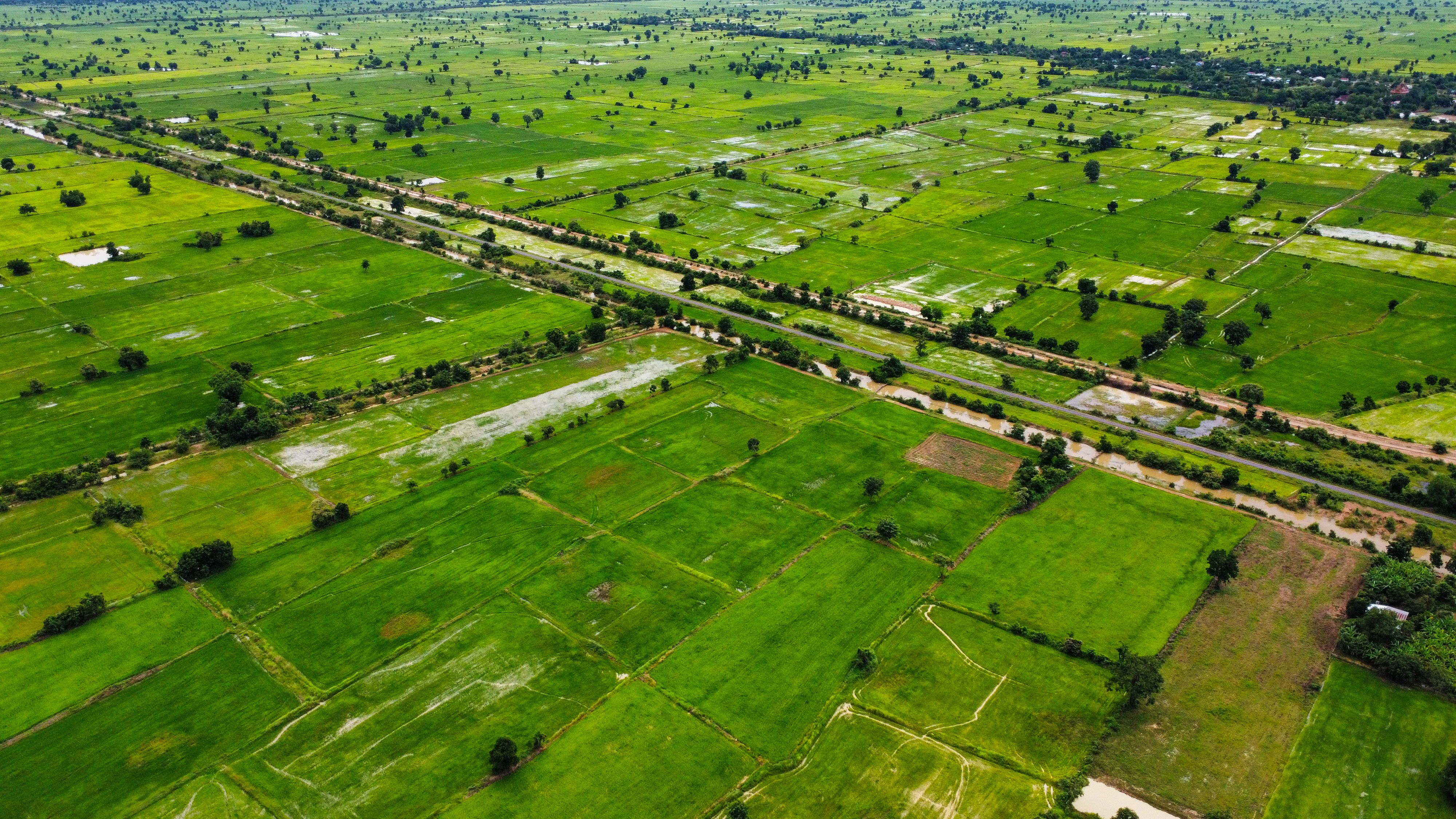 rainy season farming