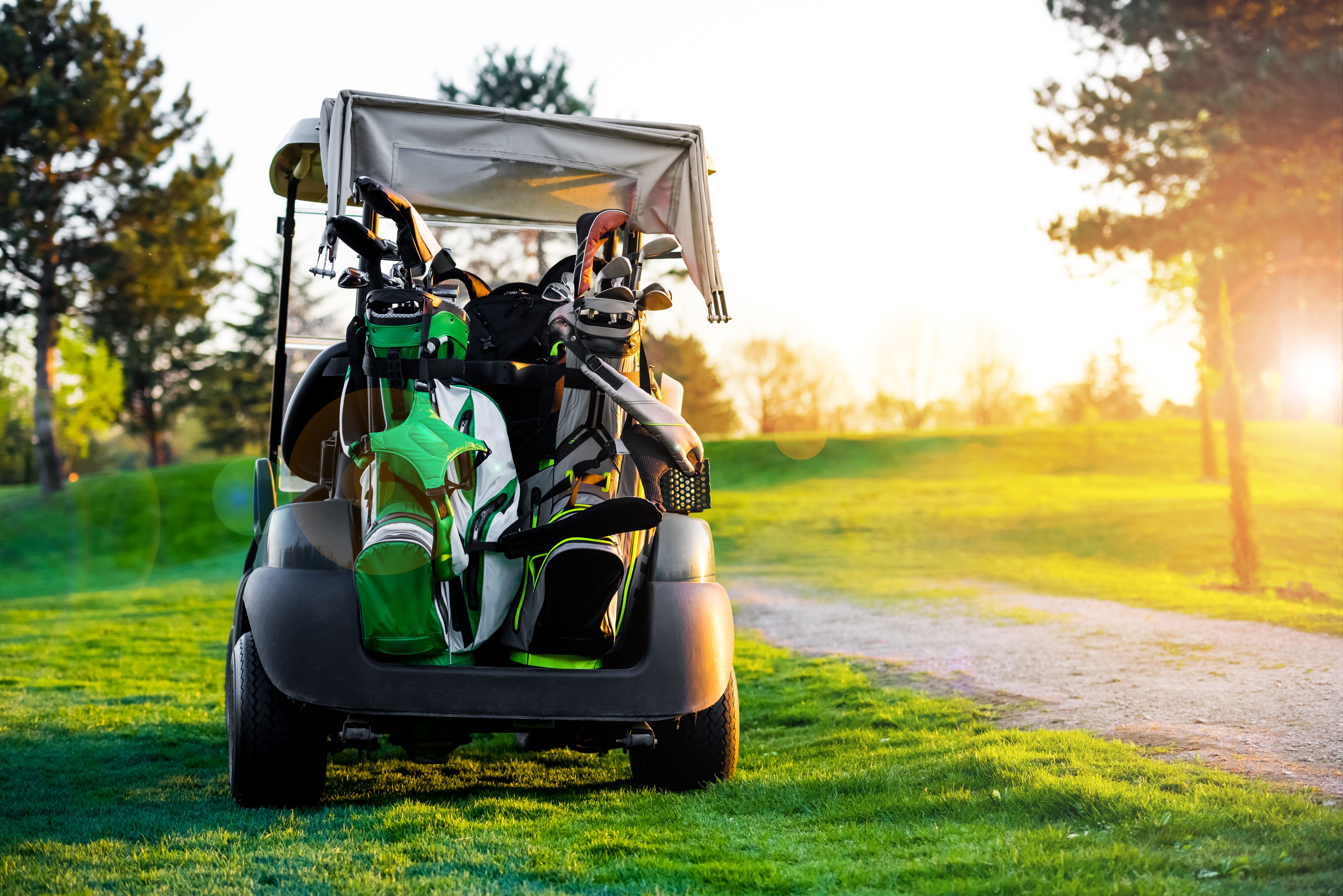 affordable golf cart