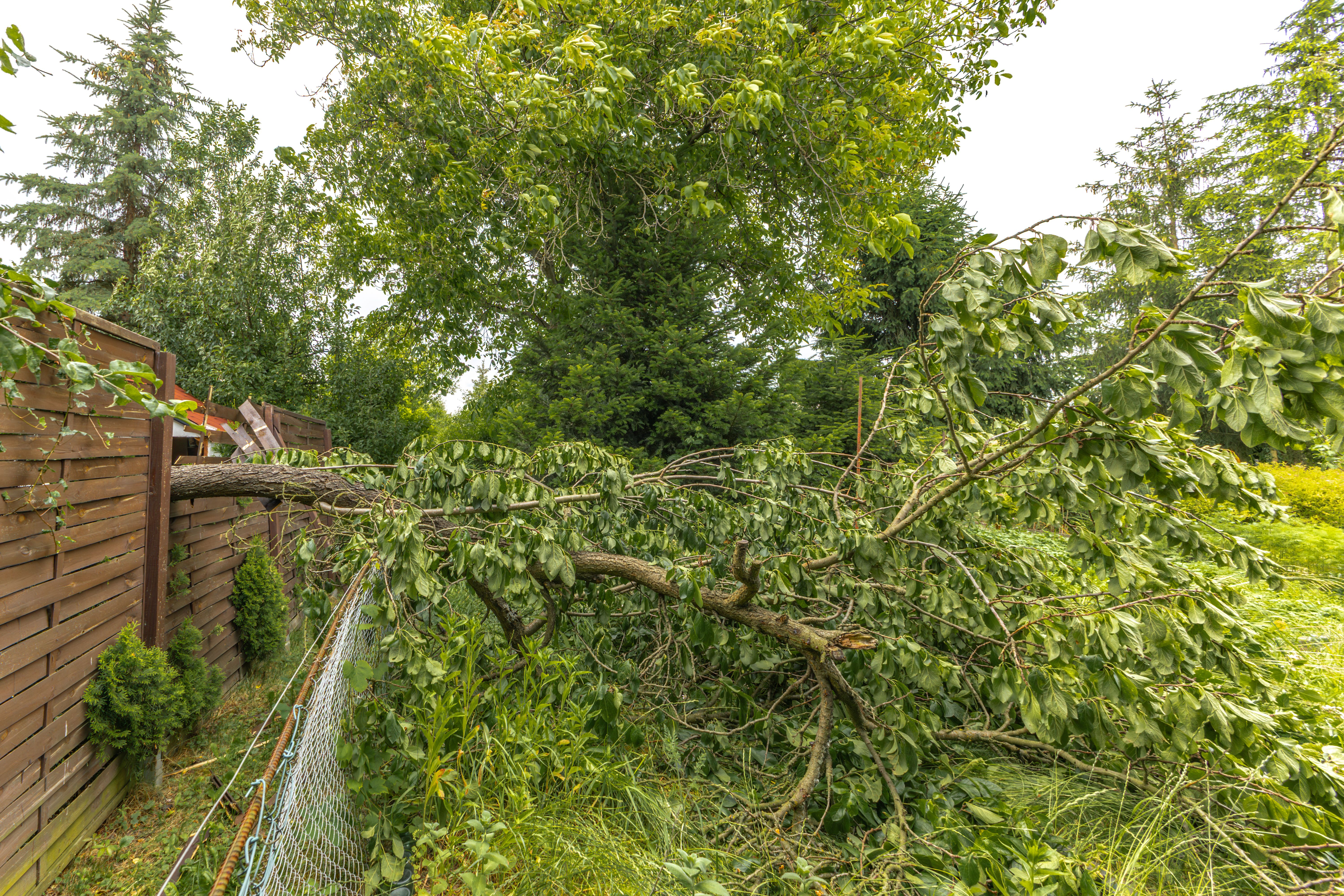 extreme weather fences