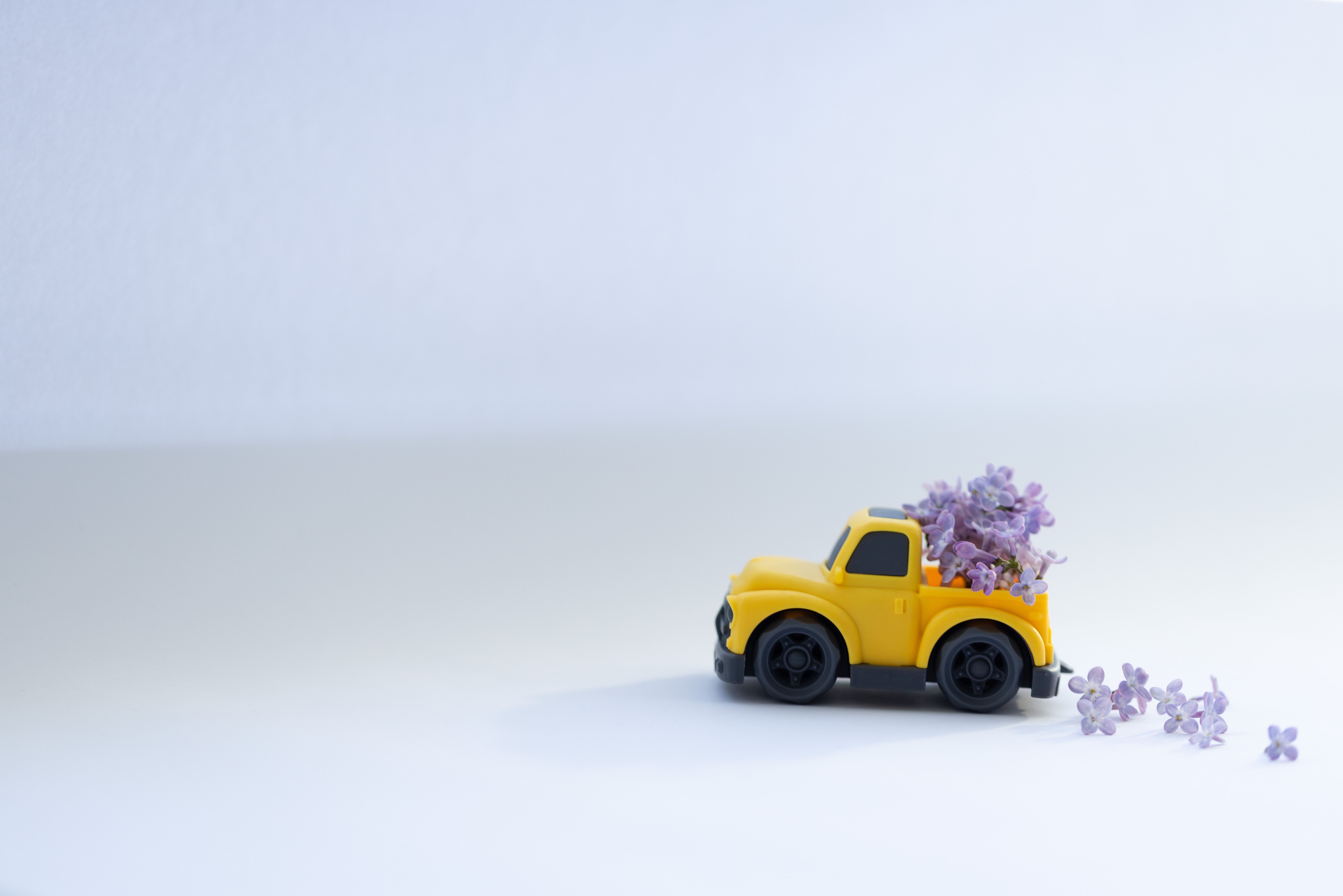 Yellow pickup retro toy car delivering bouquet of lilac flowers. Yellow pickup retro toy car delivering bouquet of lilac flowers.