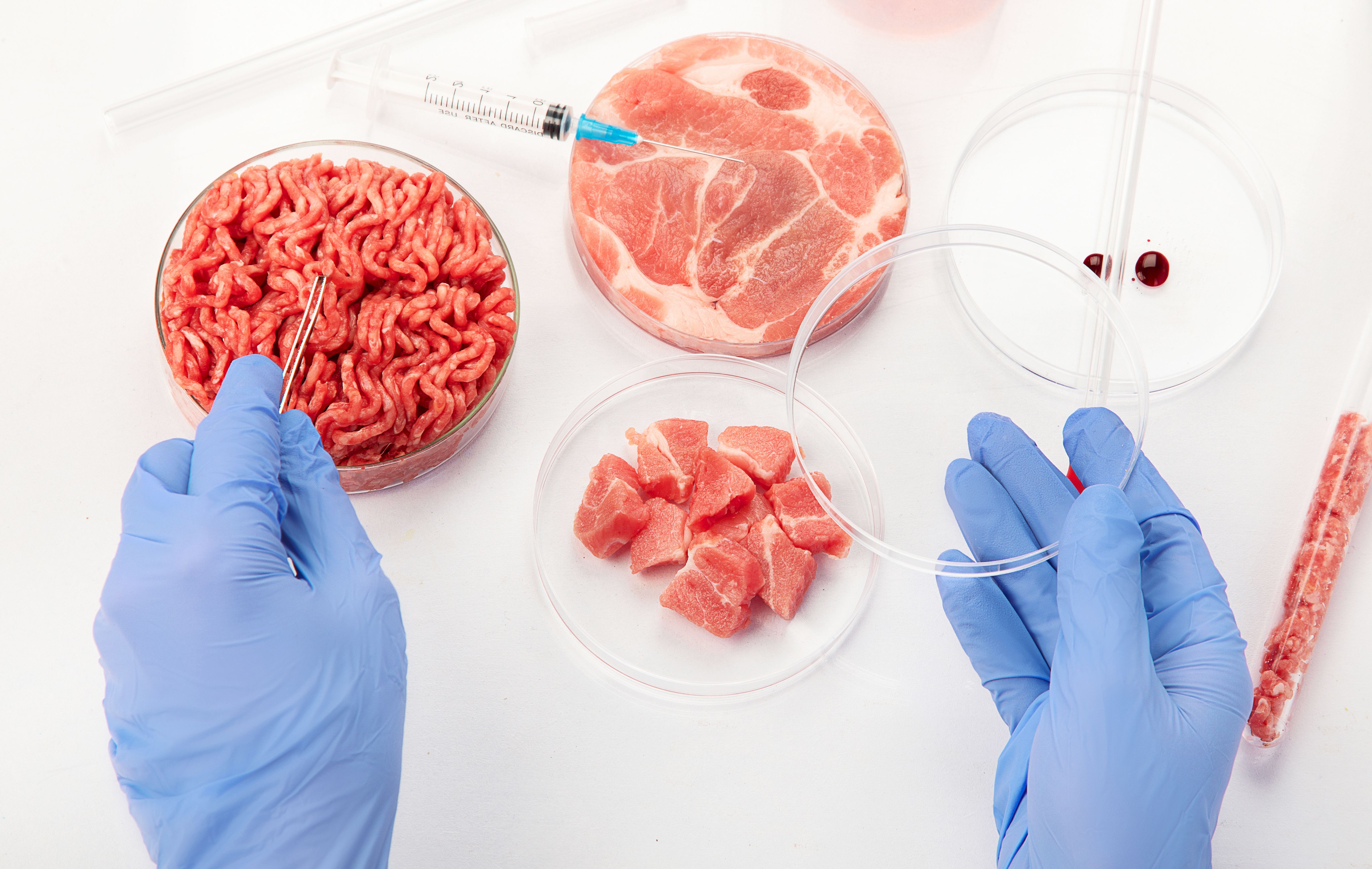 Petri dish with cultured meat Petri dish with cultured meat
