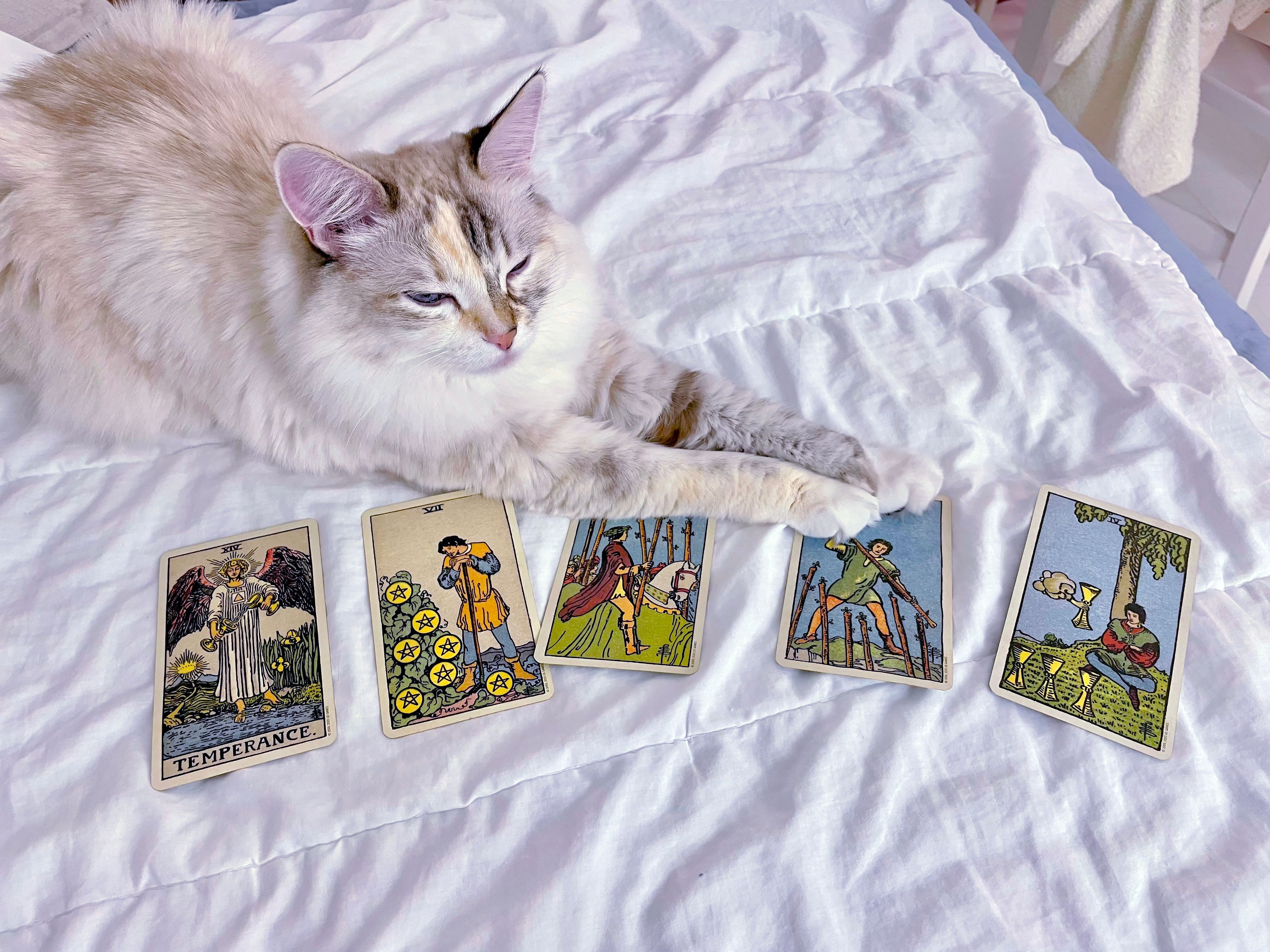 psychology tarot