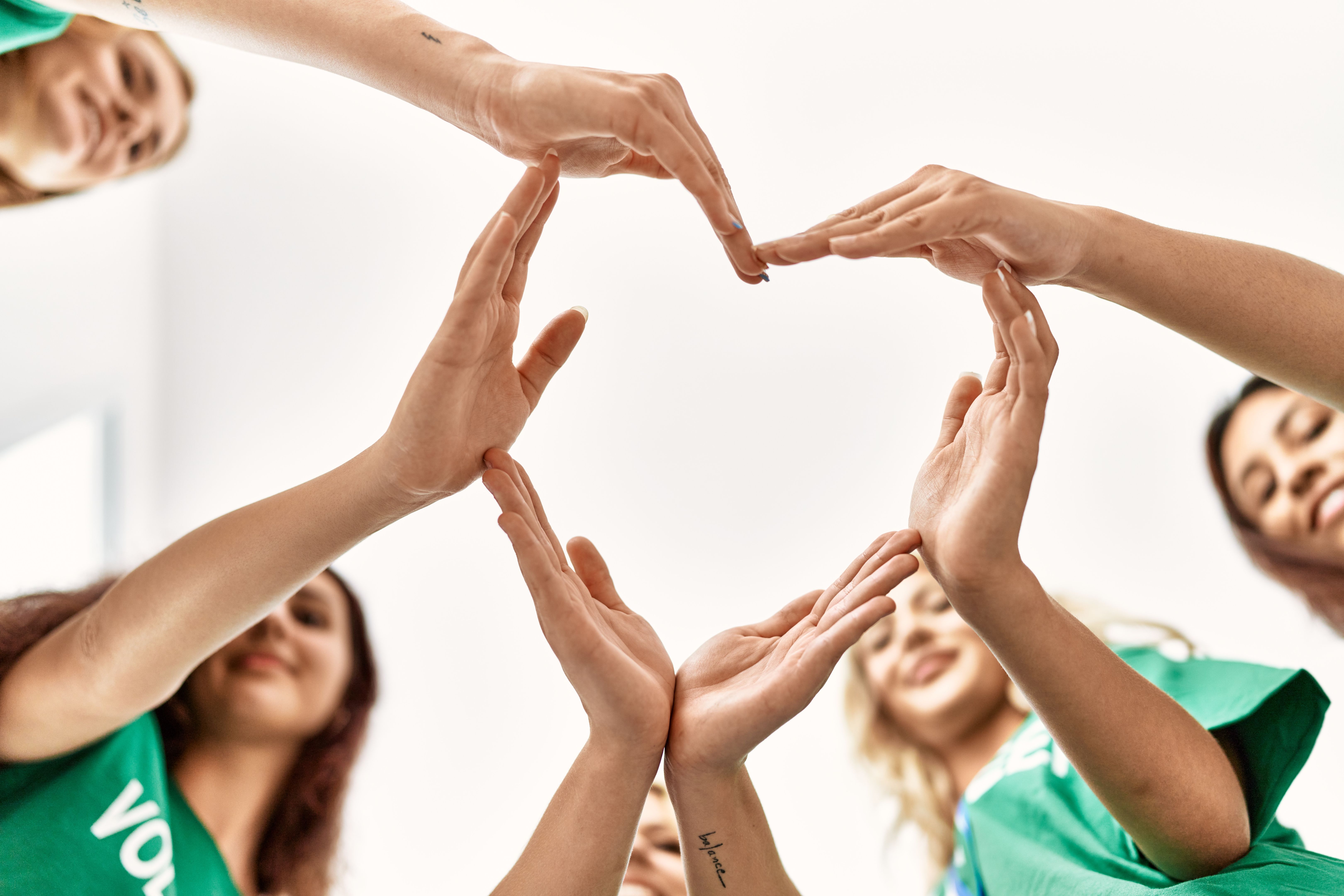 solidarity volunteers