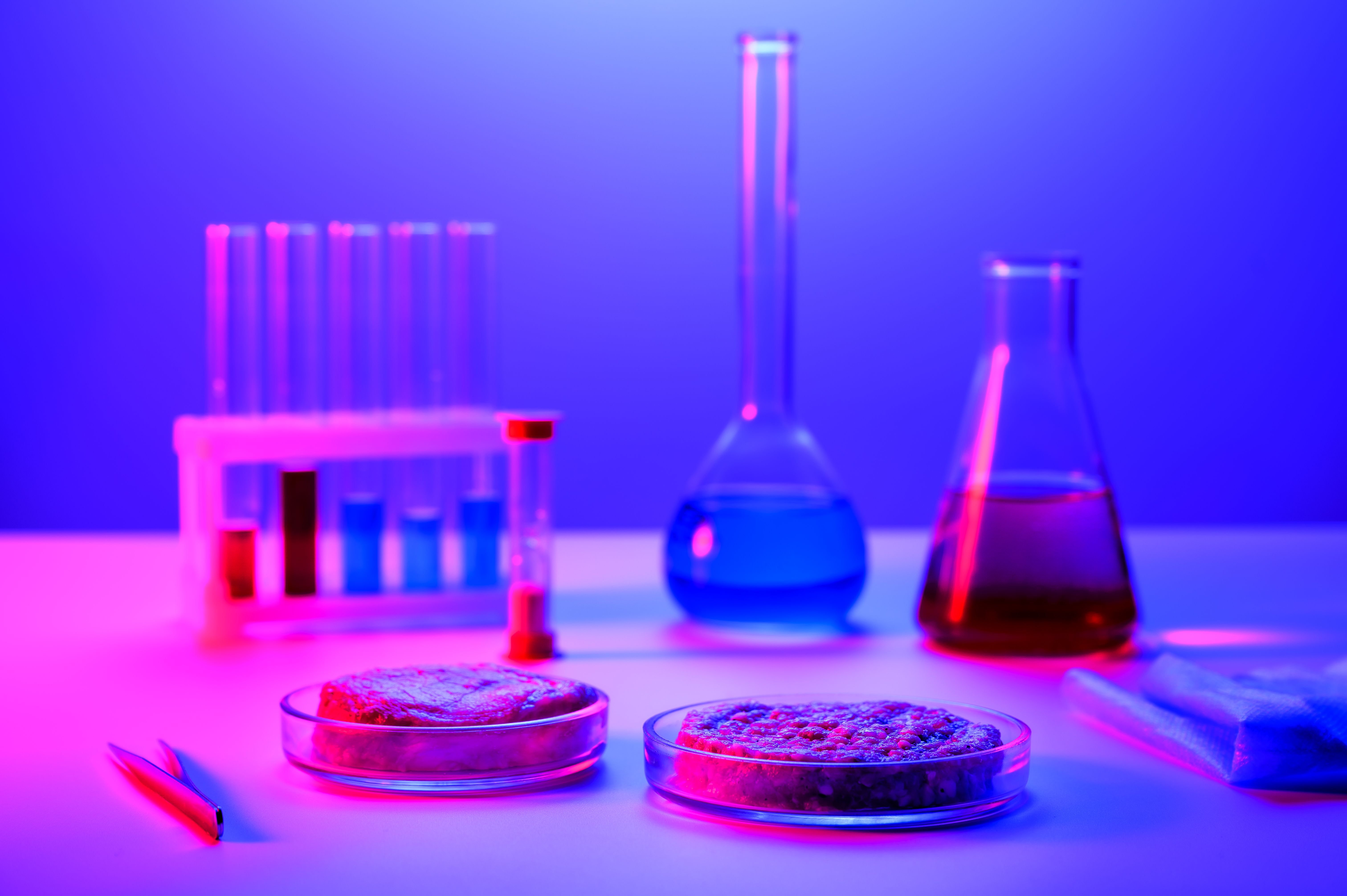 .Synthetic meat production. Checking the product for suitability in the laboratory. Artificial meat is the food of the future. Test tube meat. .Synthetic meat production. Checking the product for suitability in the laboratory. Artificial meat is the food of the future. Test tube meat.