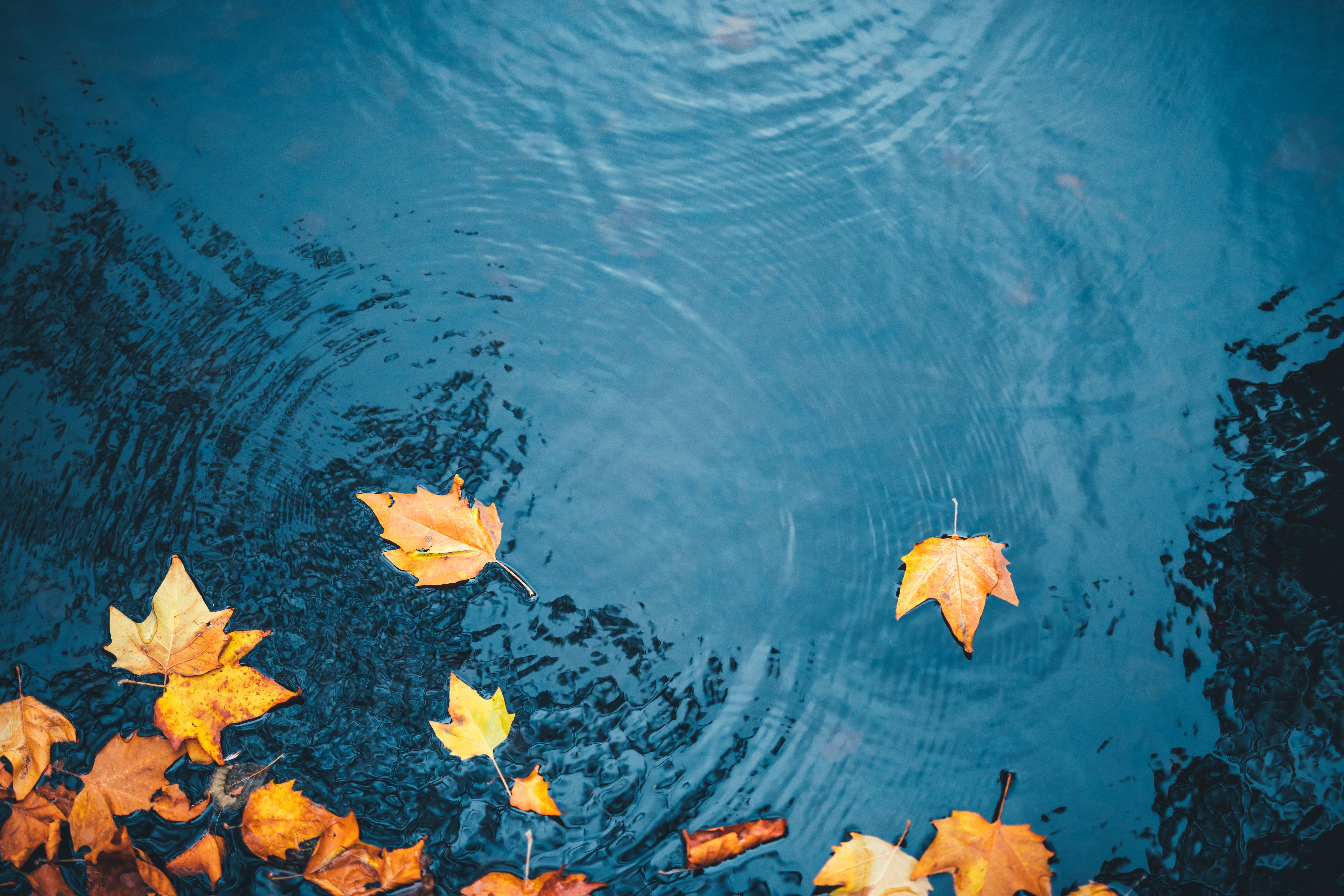 seasonal changes