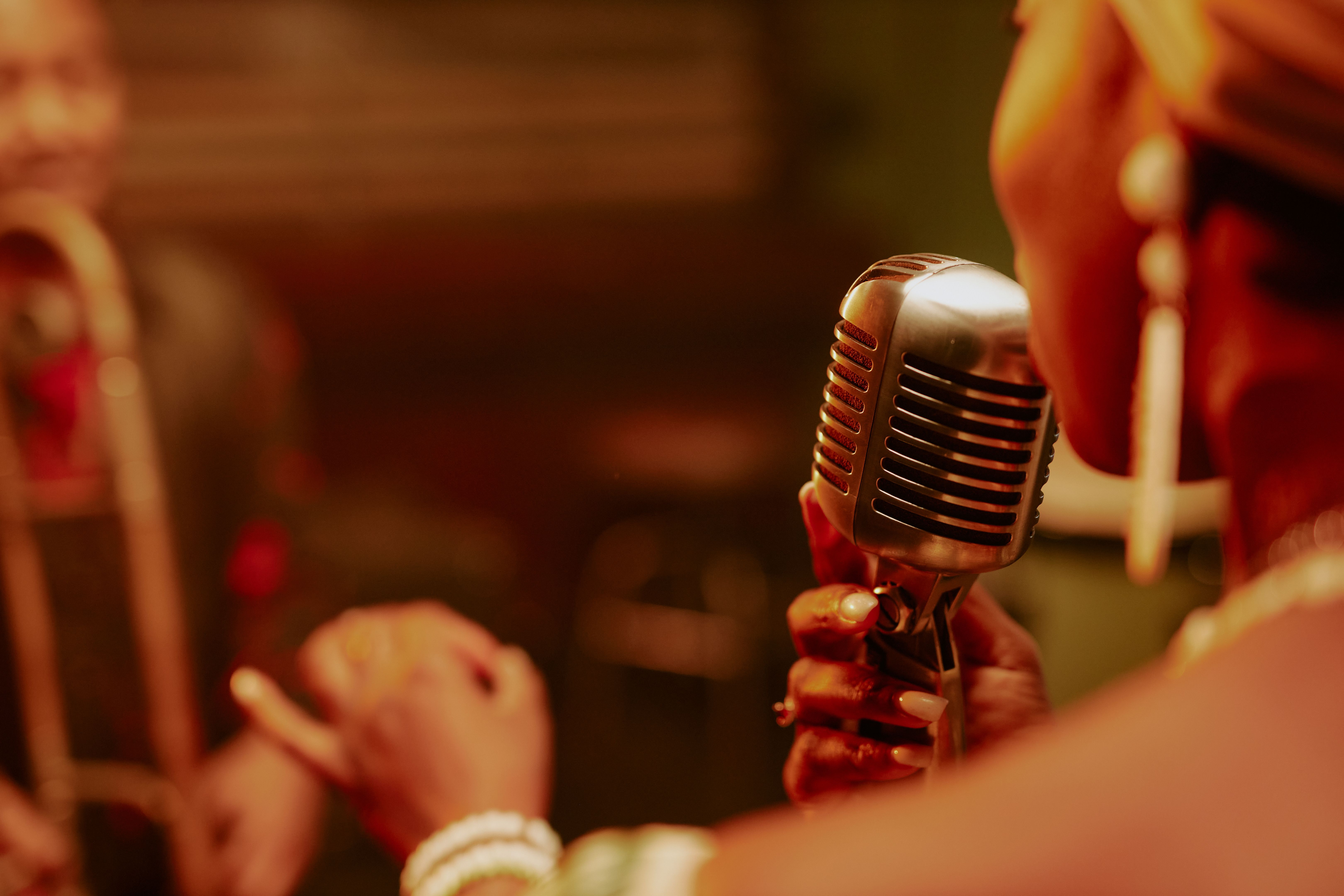 professional entertainer