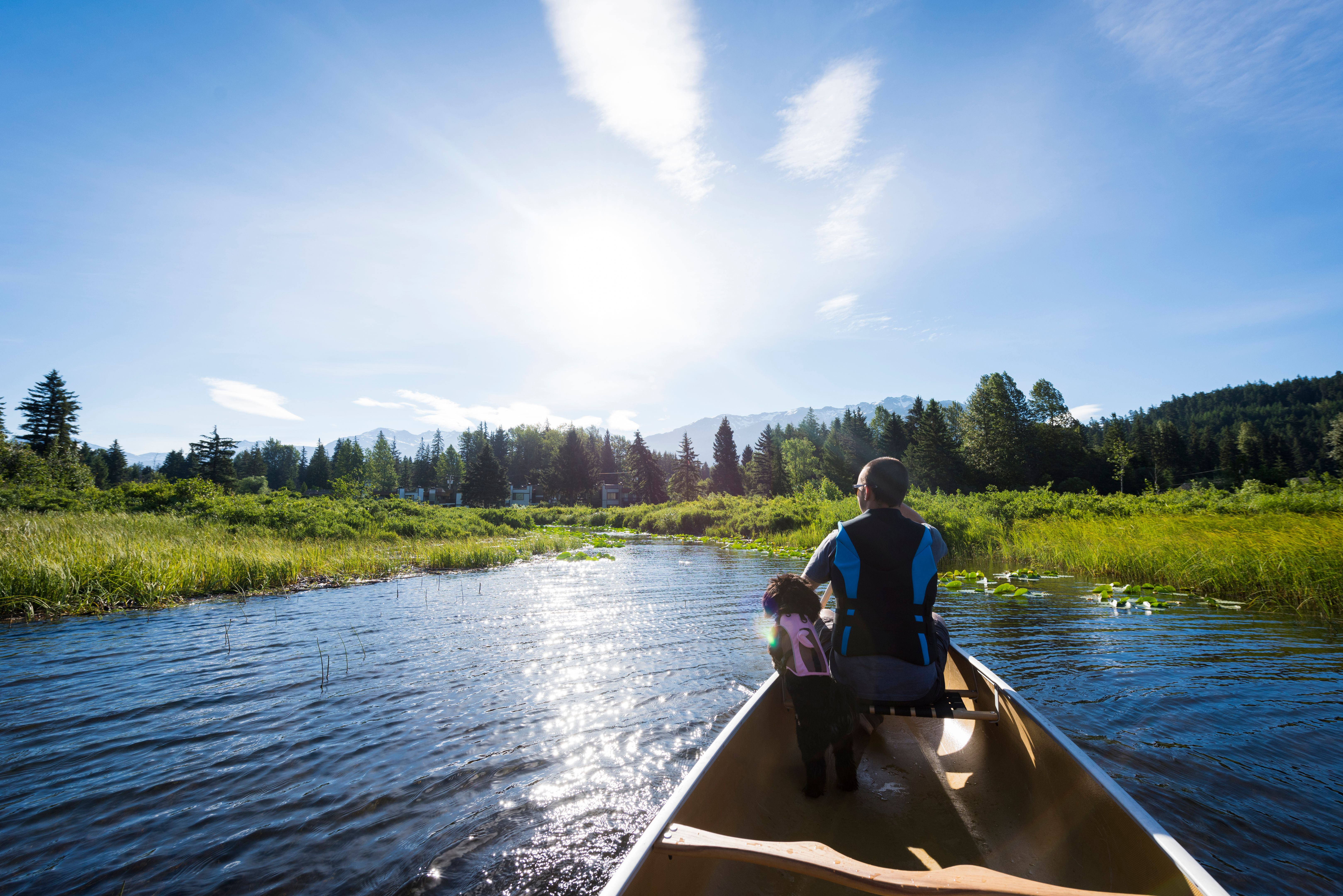 Man dog canoe on tranquil lake at sunrise