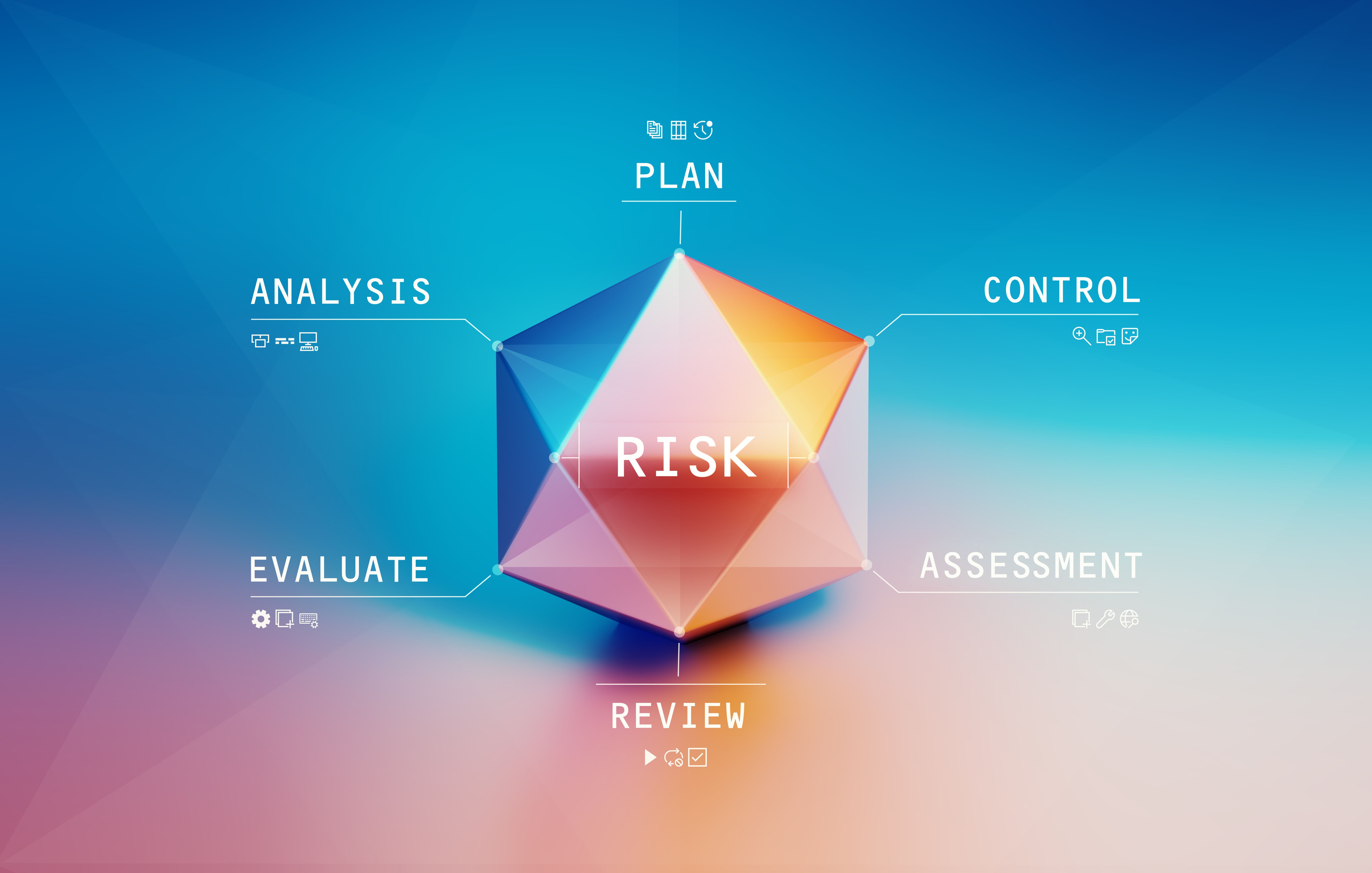 risk management