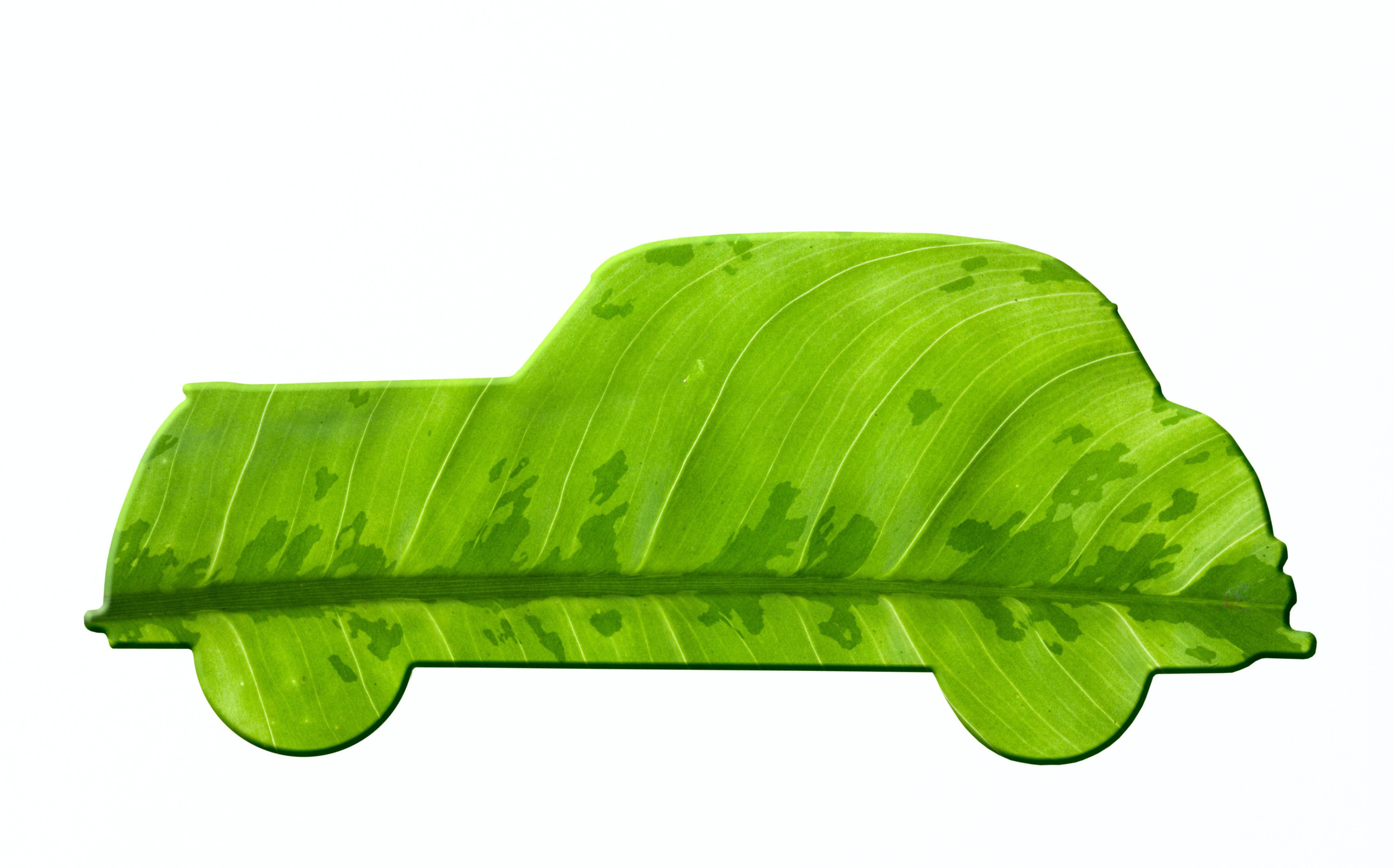 eco-friendly-auto-paint