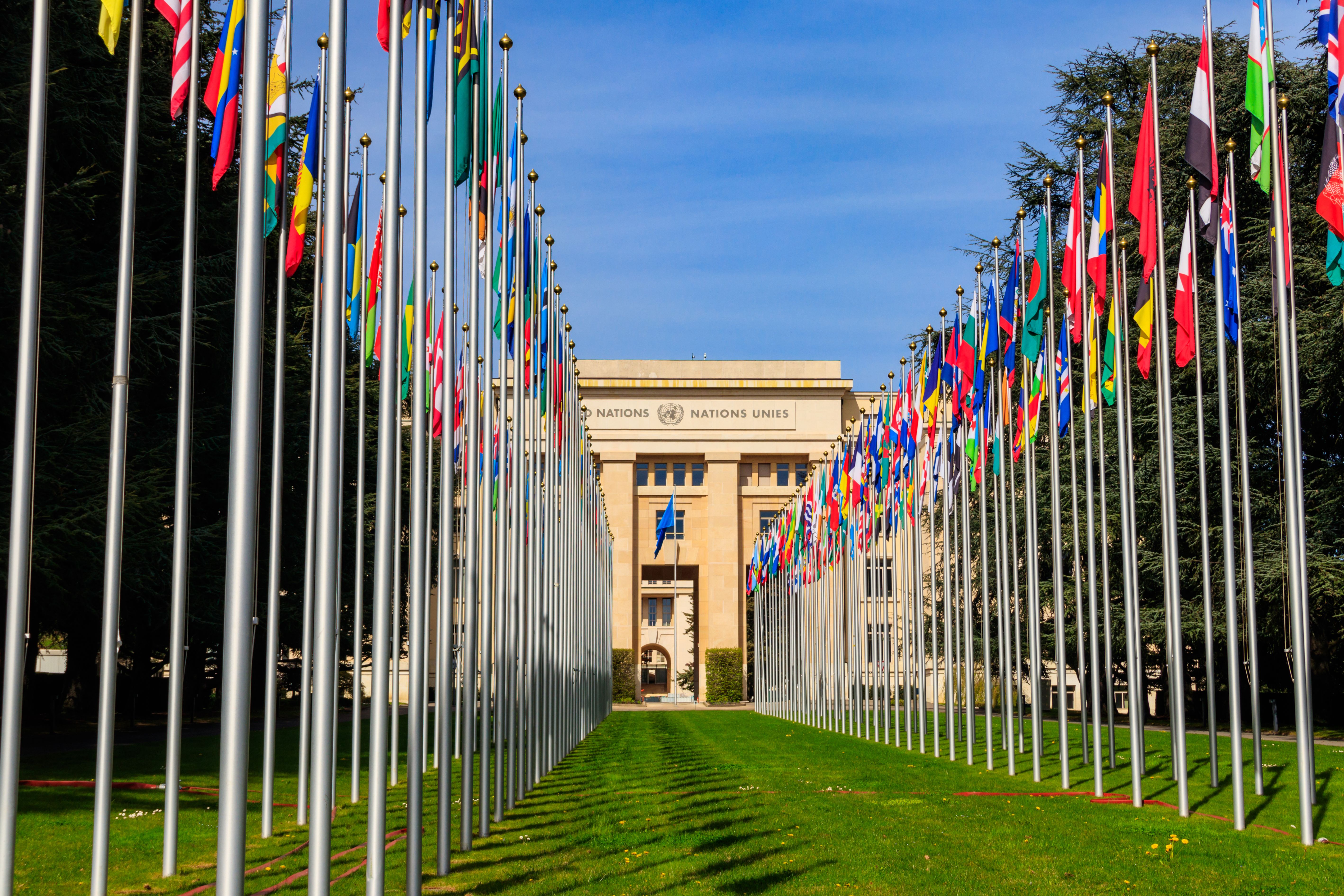 Rangées de drapeaux des États membres des Nations Unies devant le Palais des Nations à Genève, en Suisse.